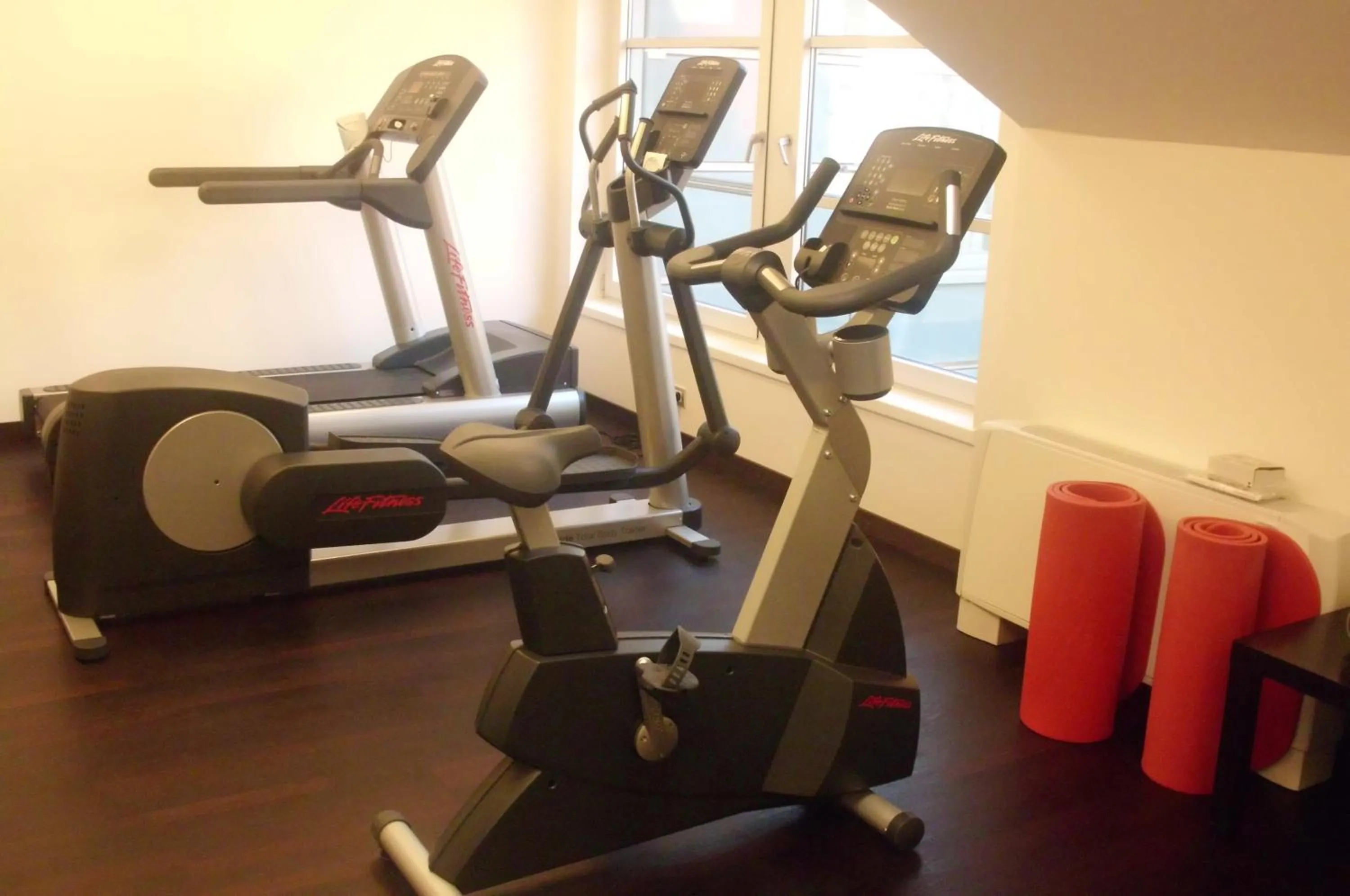 Fitness centre/facilities in Hotel Greif, a Member of Design Hotels