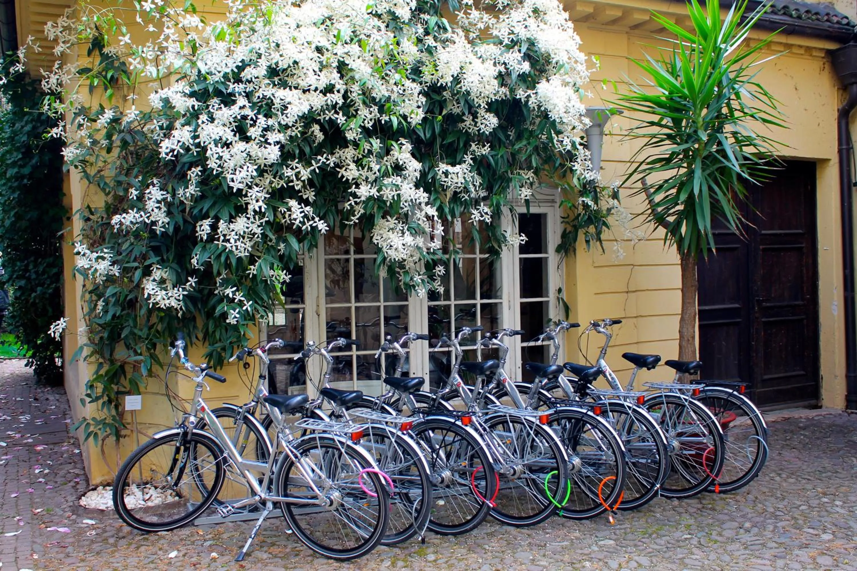 Cycling in Hotel Greif, a Member of Design Hotels