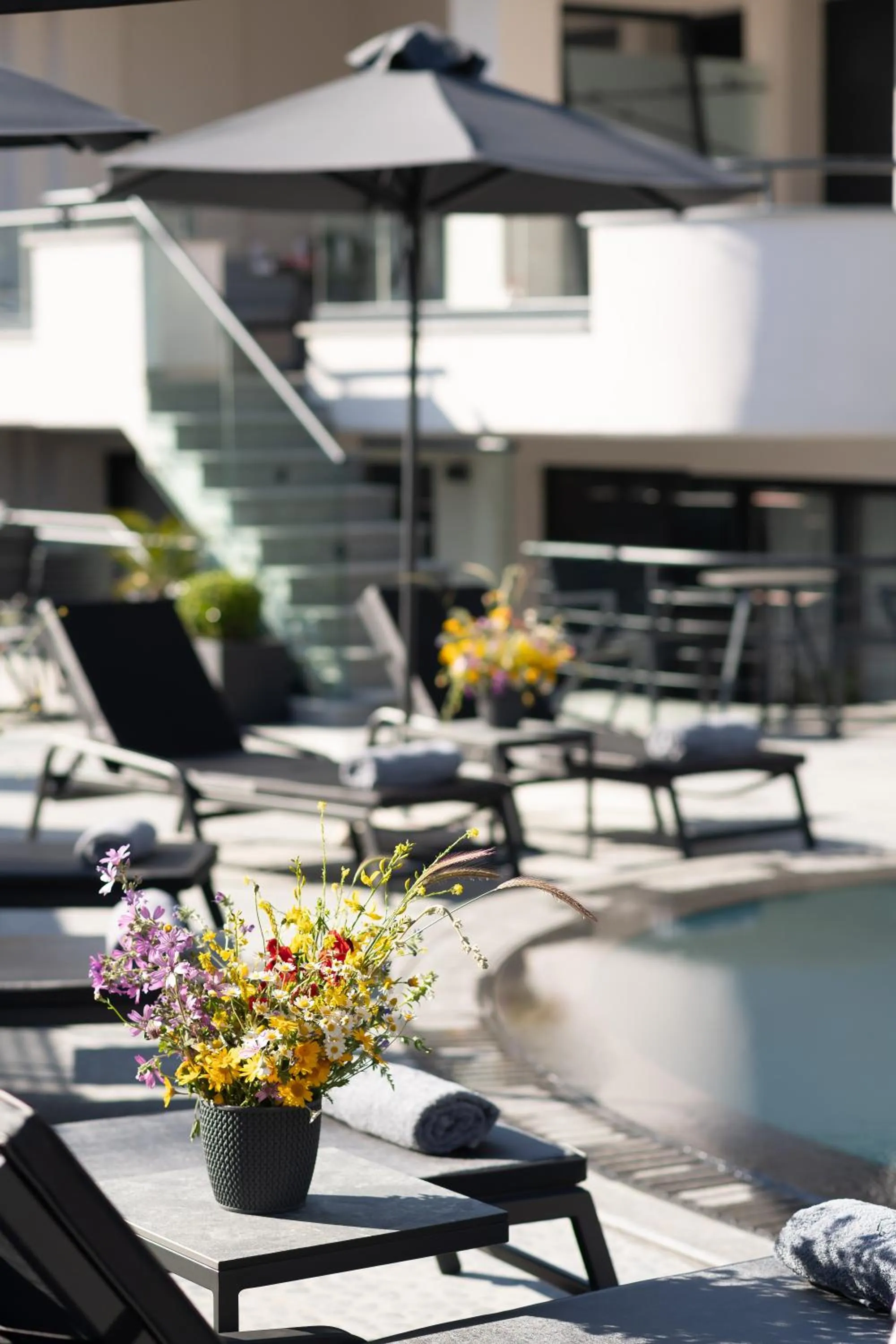 Day in Melite Luxury Rooms & Apartments