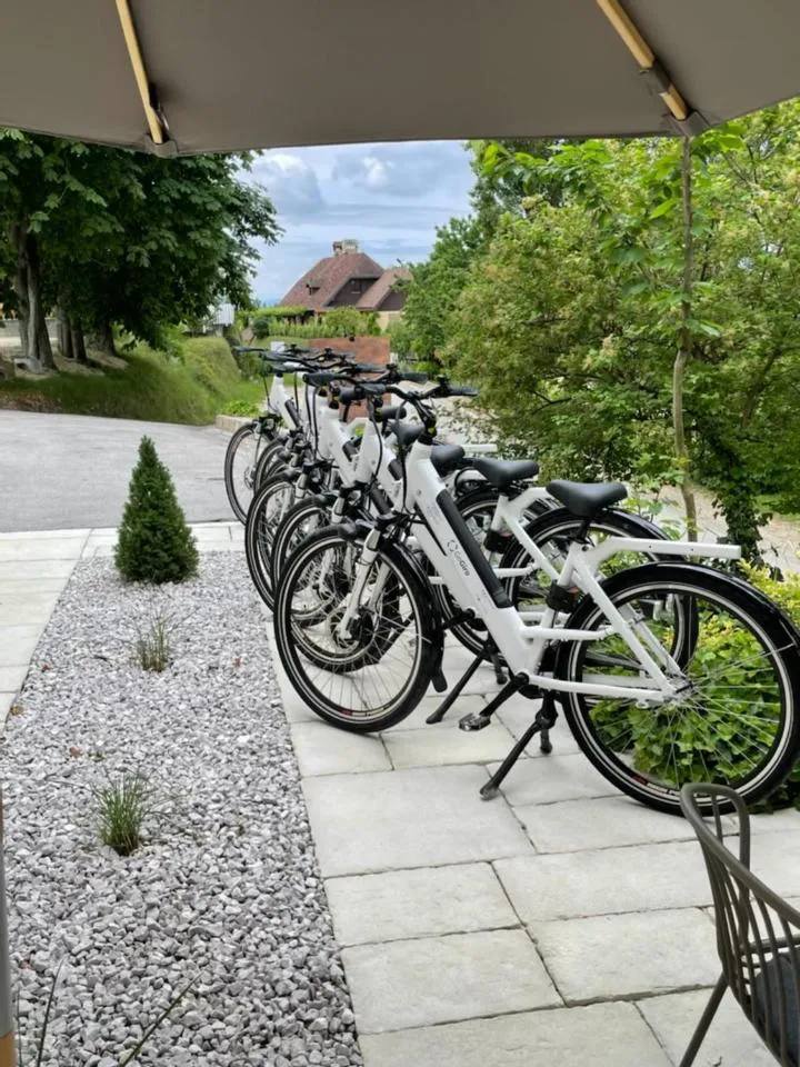 Cycling in SIBON Wine & Spa Resort Jeruzalem