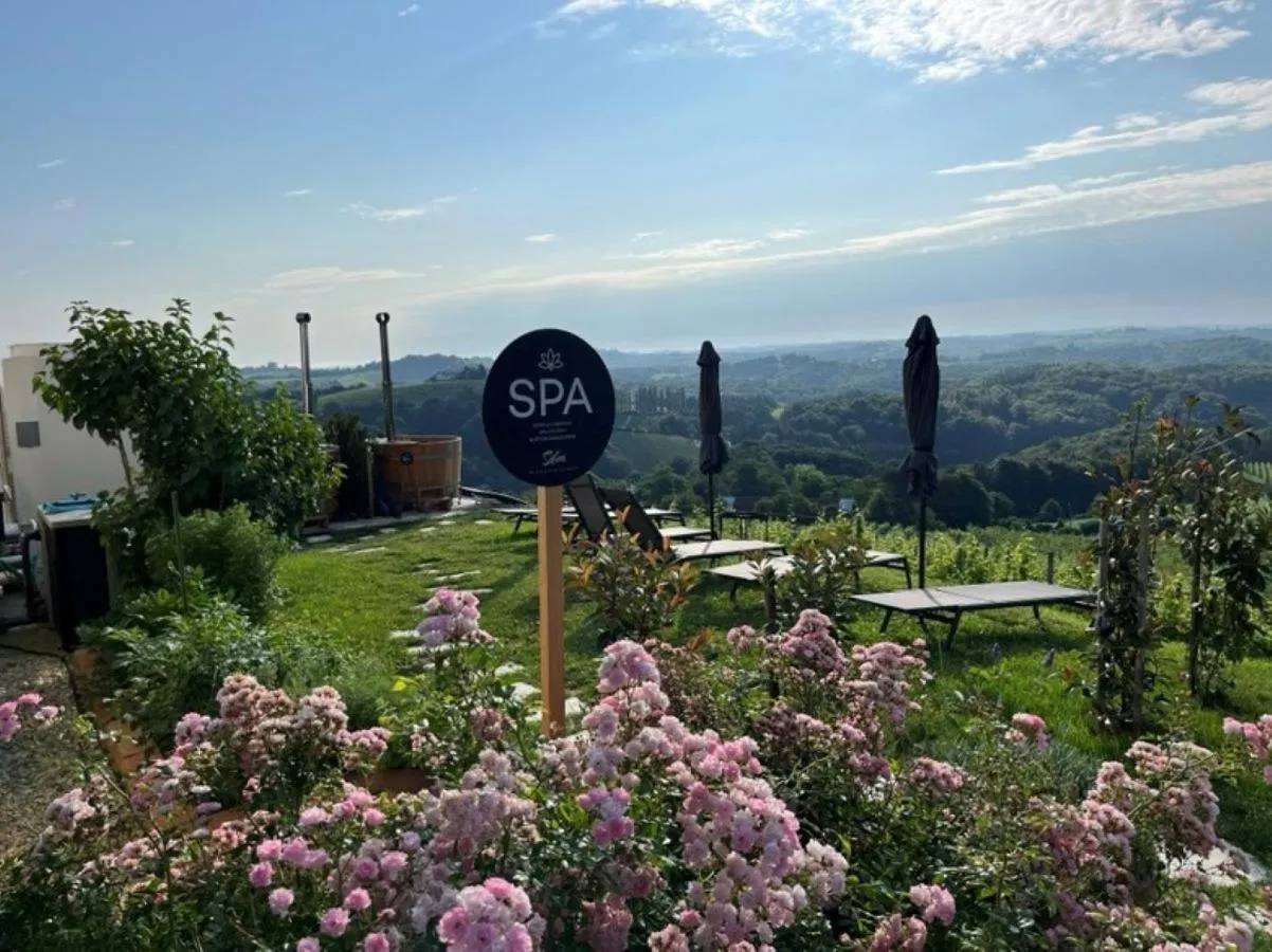 Swimming pool in SIBON Wine & Spa Resort Jeruzalem