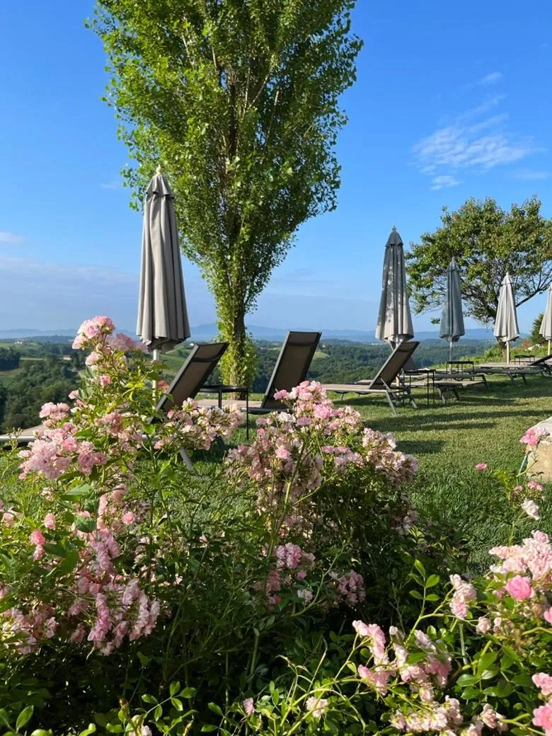 Swimming pool in SIBON Wine & Spa Resort Jeruzalem