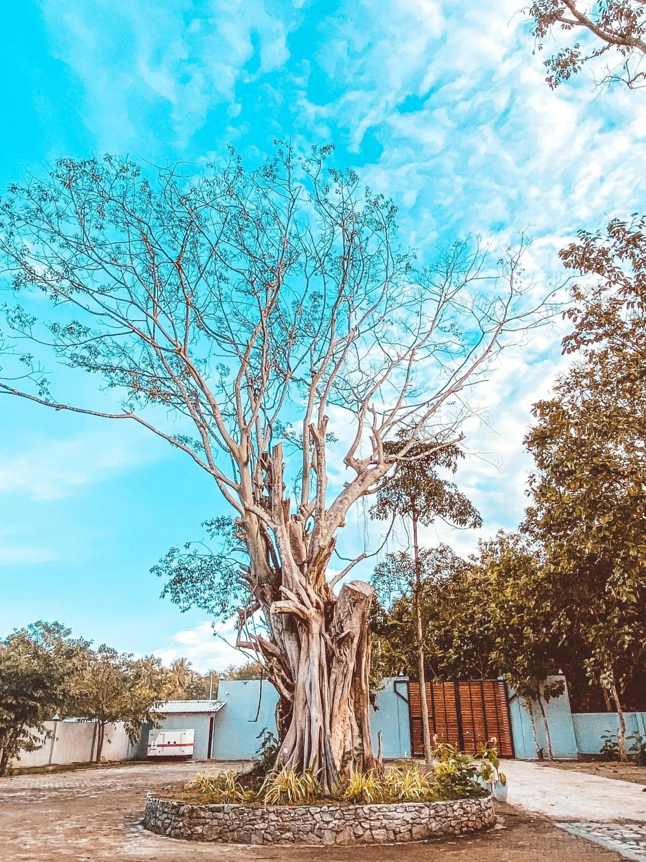 Natural landscape in NIVADOO RESORT SIGIRIYA