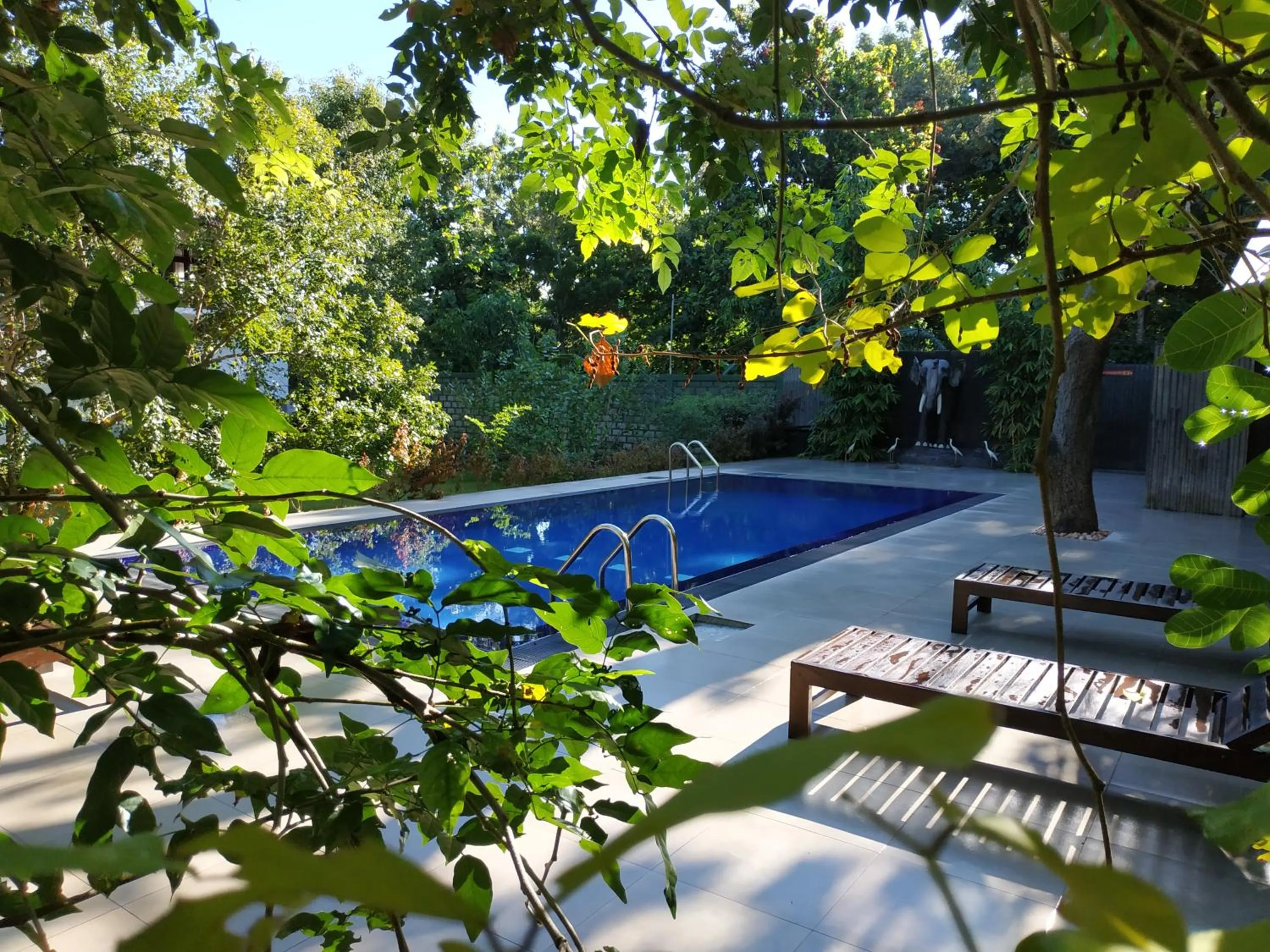 Pool view in Sigiriya Cashew Palace Resort