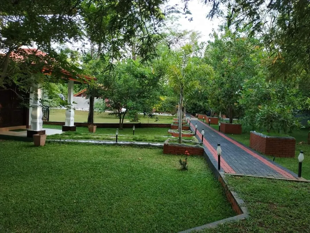 Natural landscape in Sigiriya Cashew Palace Resort