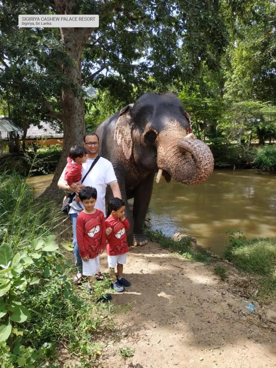 Sigiriya Cashew Palace Resort