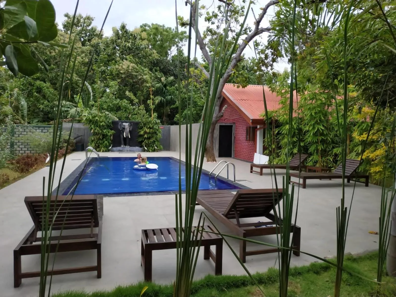 Pool view in Sigiriya Cashew Palace Resort