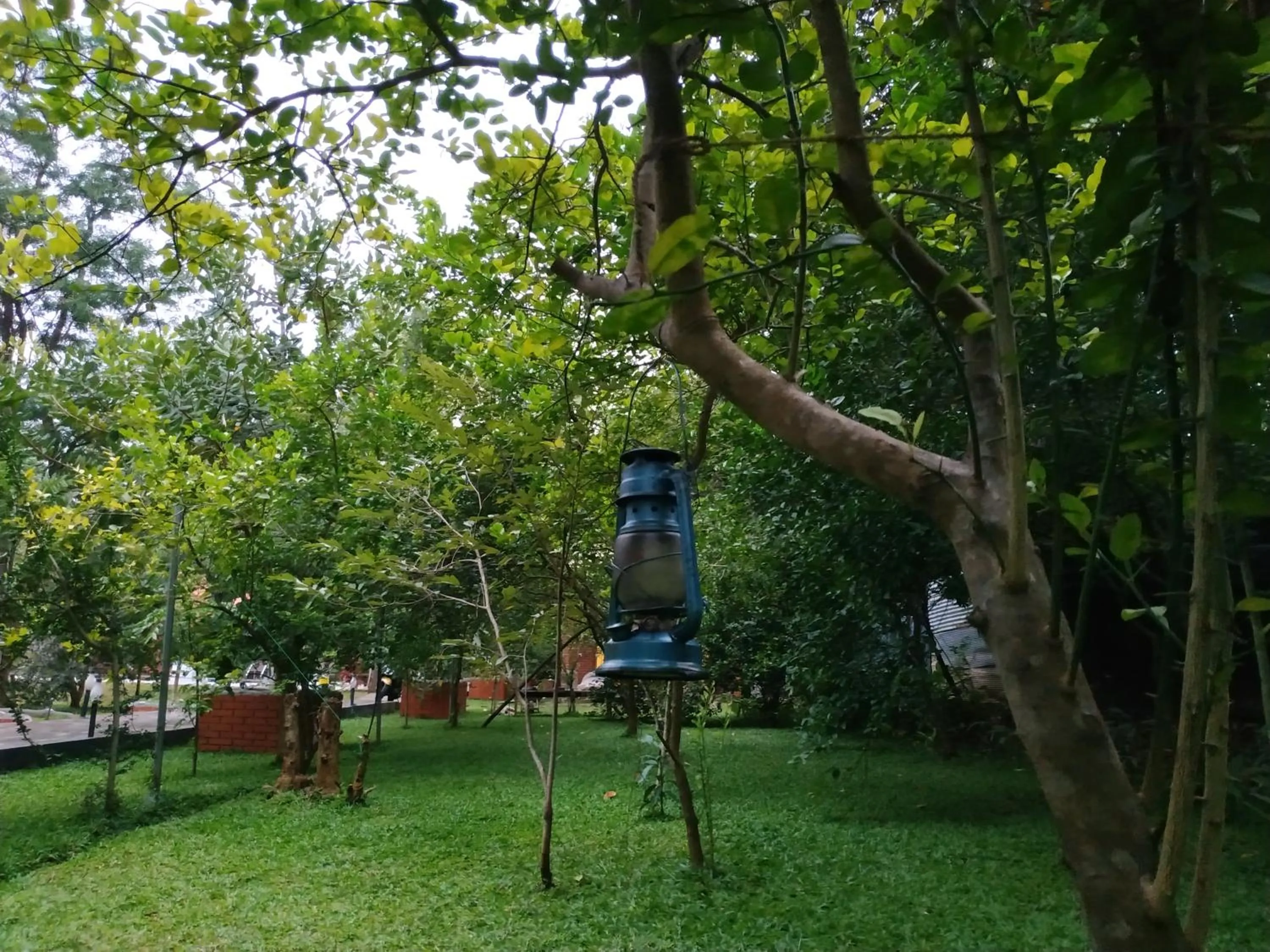 Garden in Sigiriya Cashew Palace Resort