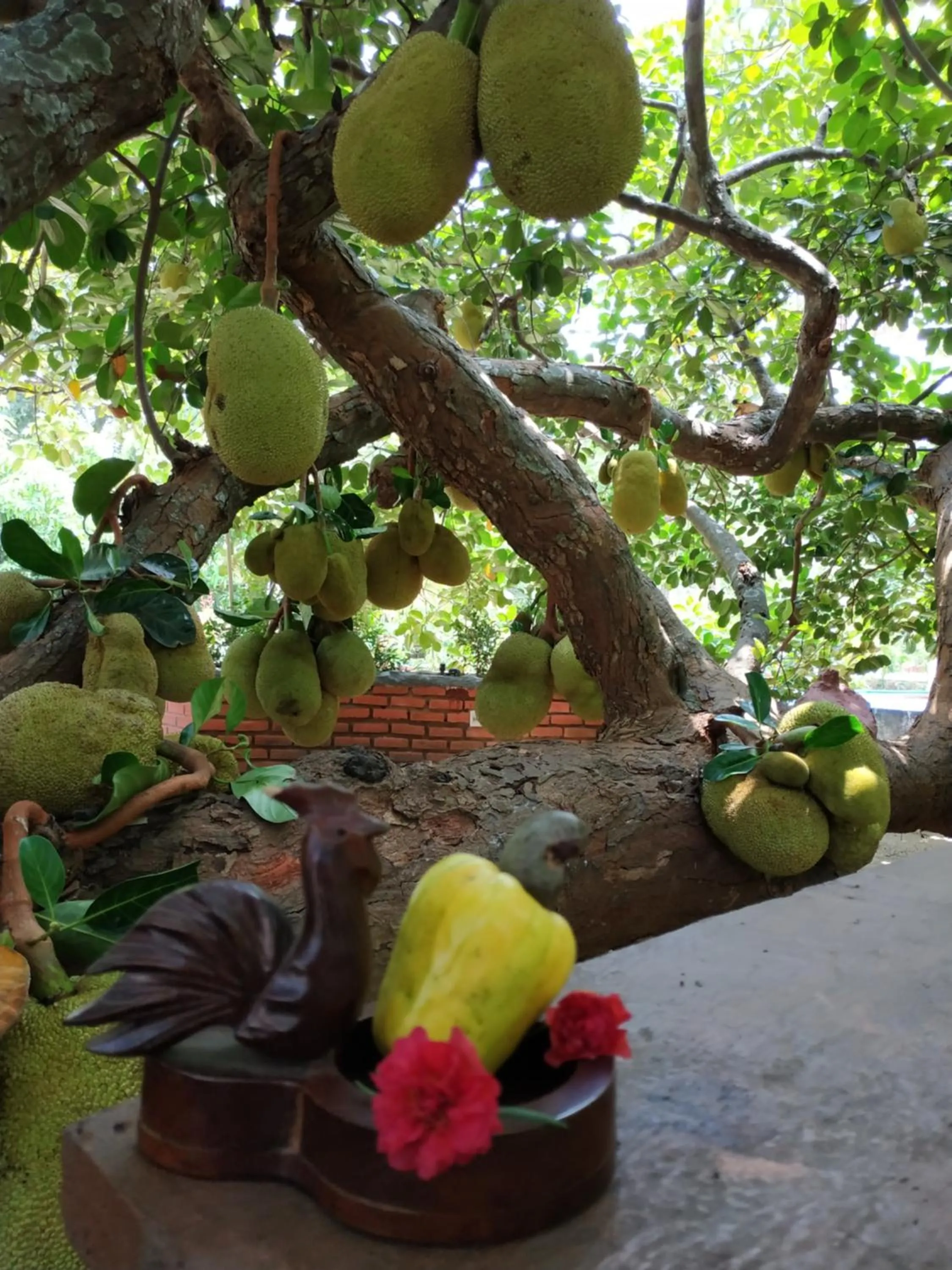 Sigiriya Cashew Palace Resort