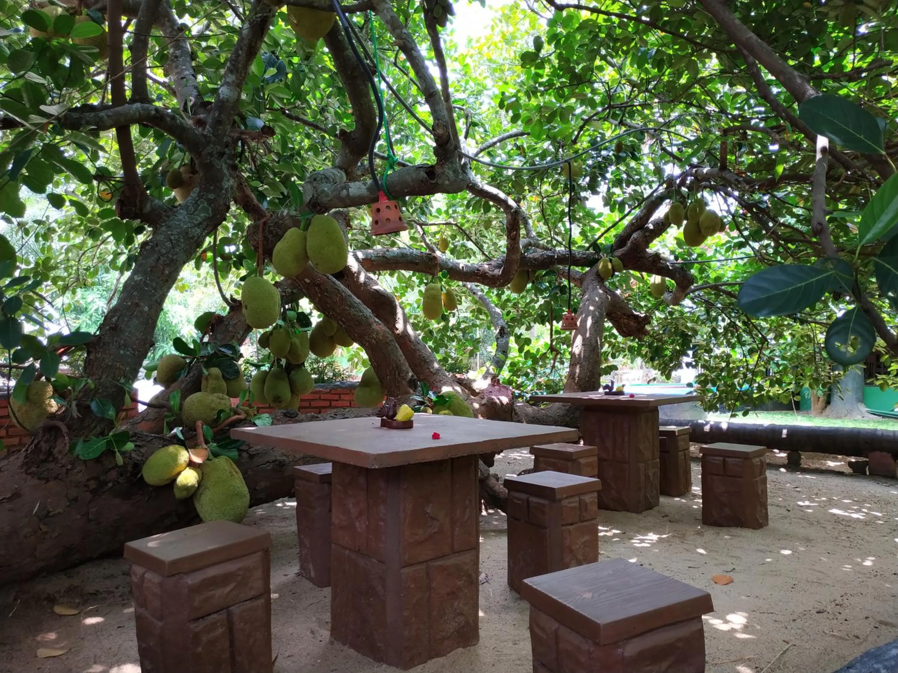 Sigiriya Cashew Palace Resort