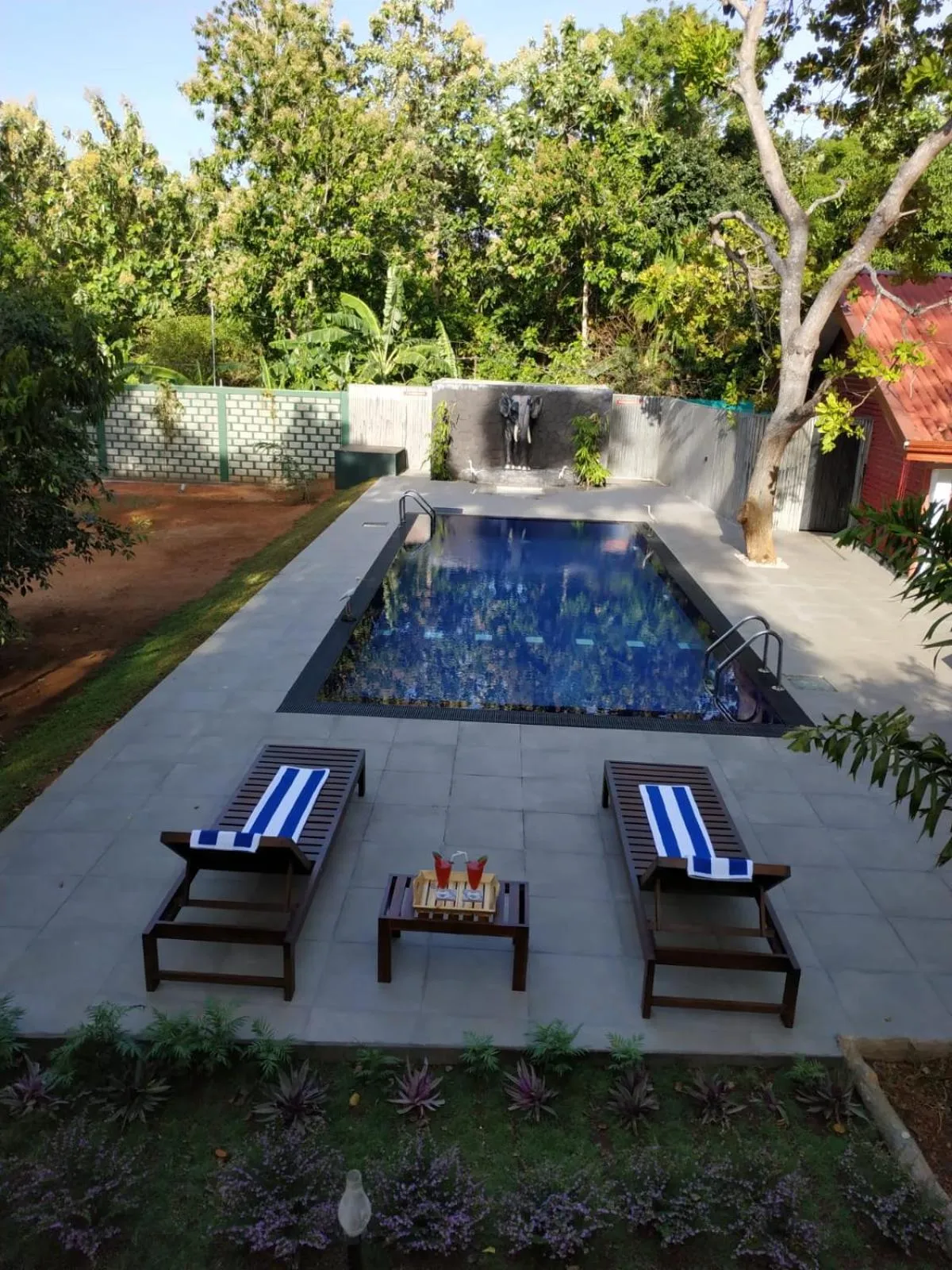Swimming pool in Sigiriya Cashew Palace Resort