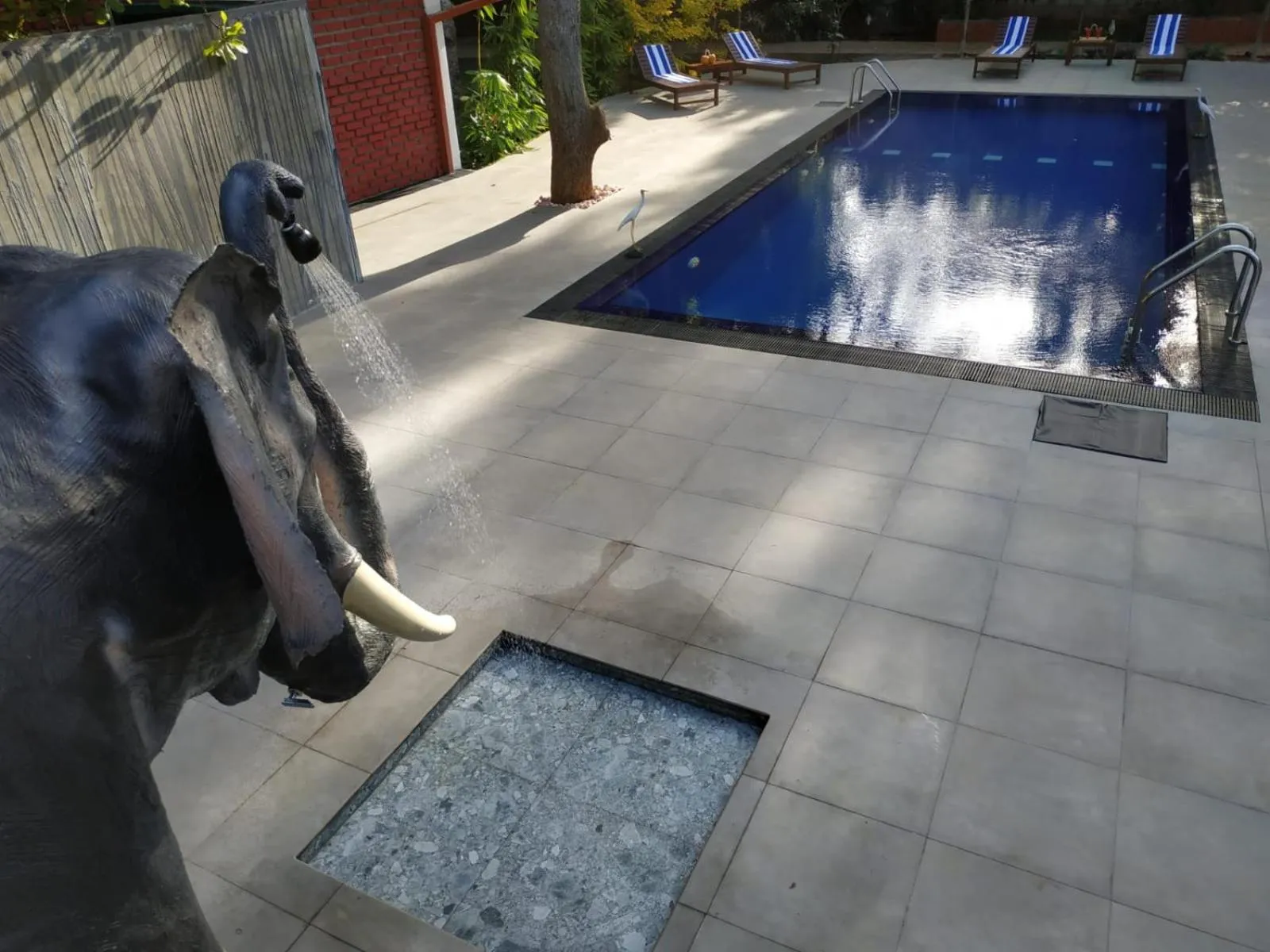 Swimming pool in Sigiriya Cashew Palace Resort