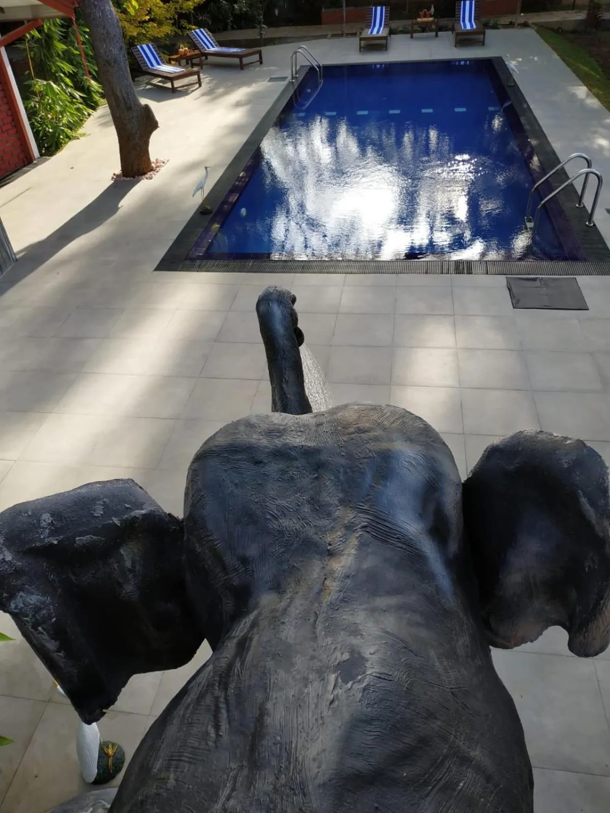 Swimming pool in Sigiriya Cashew Palace Resort