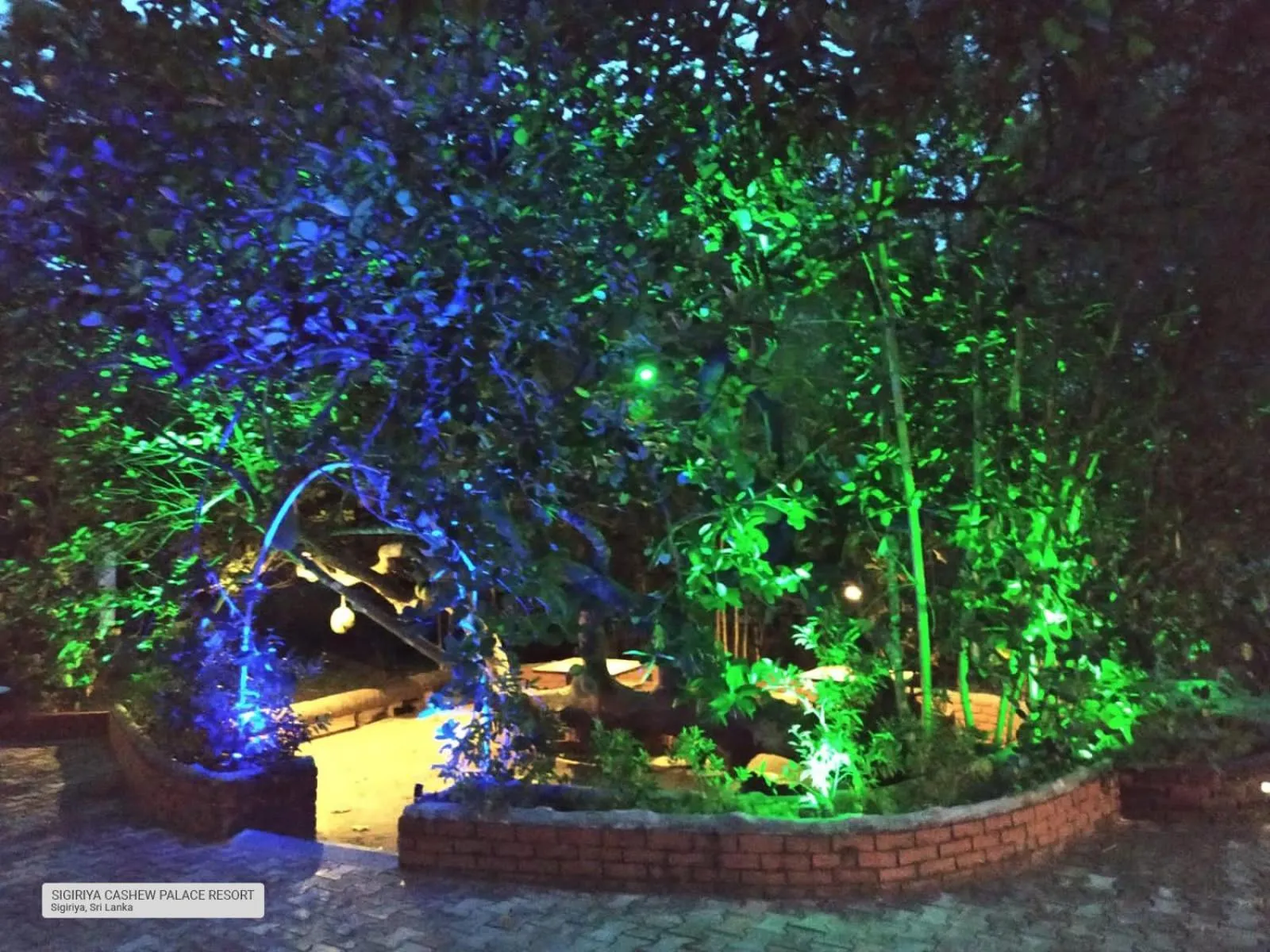 Sigiriya Cashew Palace Resort