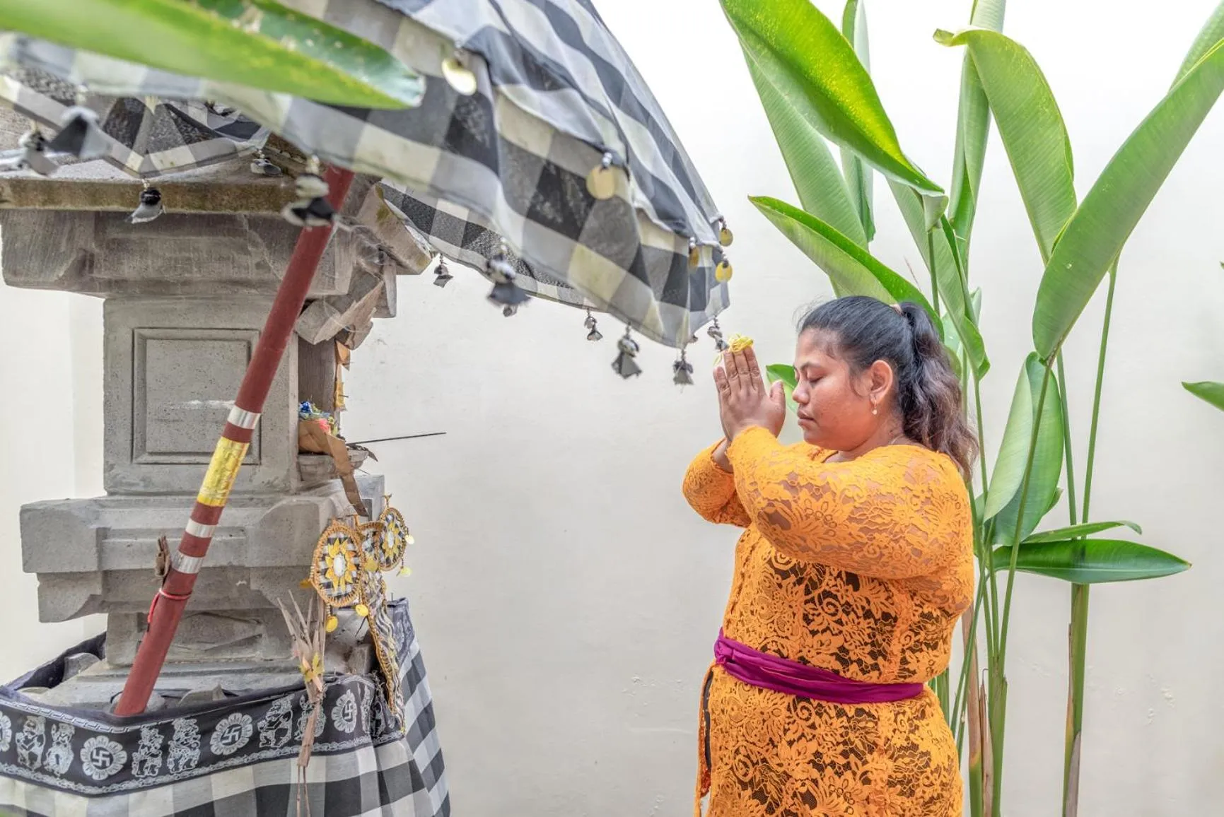 Garden view in Villa Mata Hari