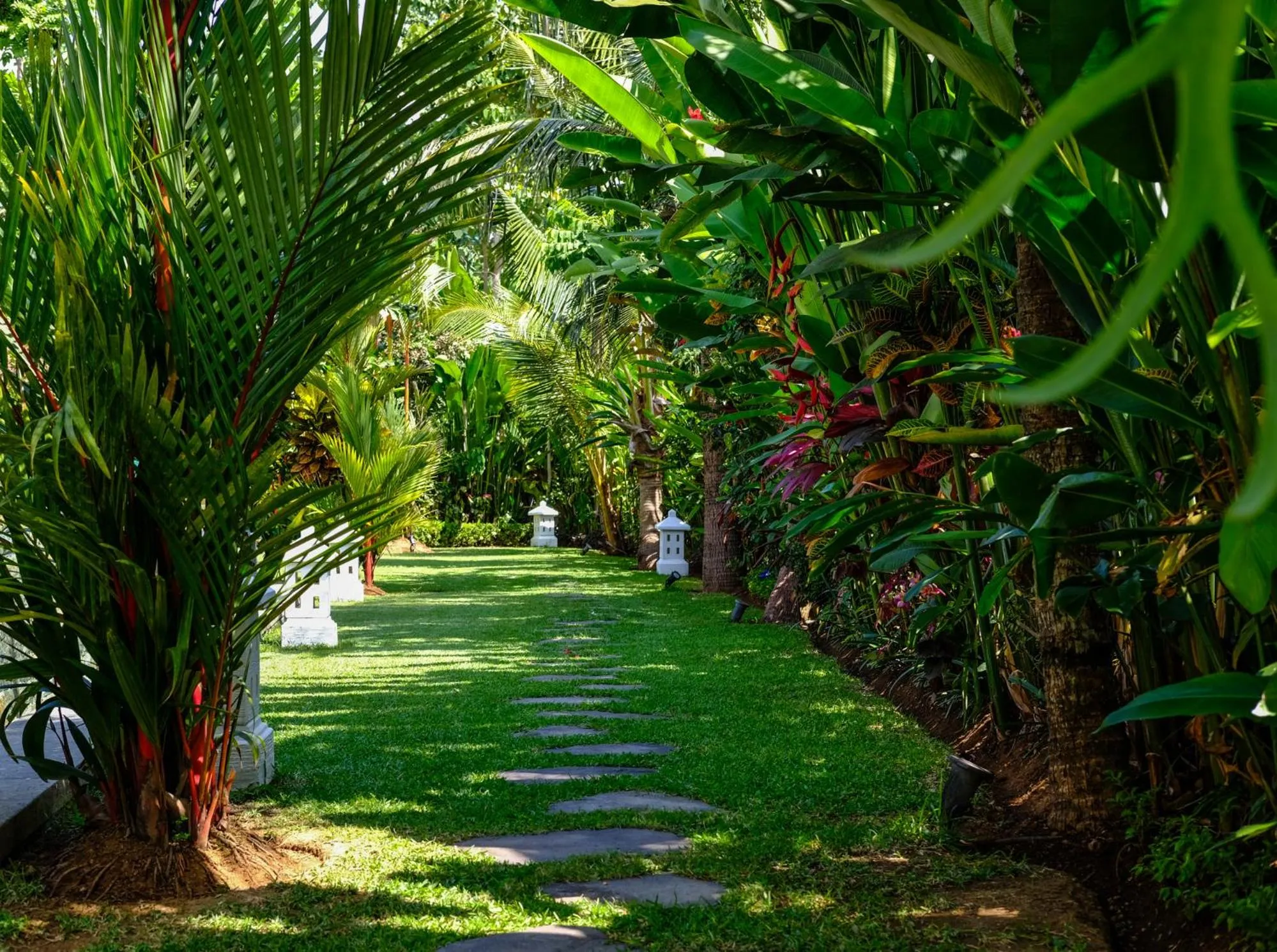 Garden in Villa Mata Hari