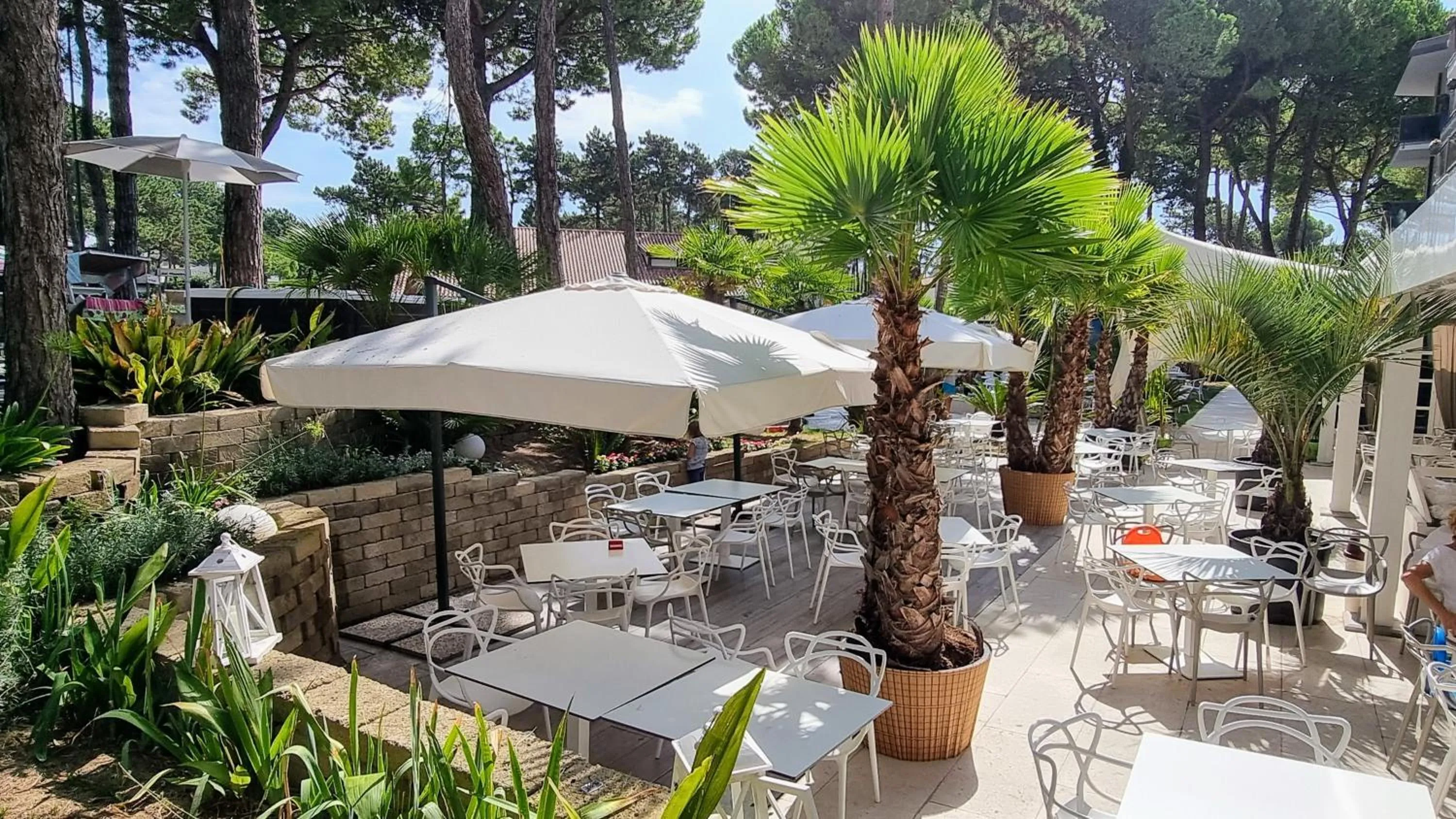 Garden in Hotel Mediterraneo