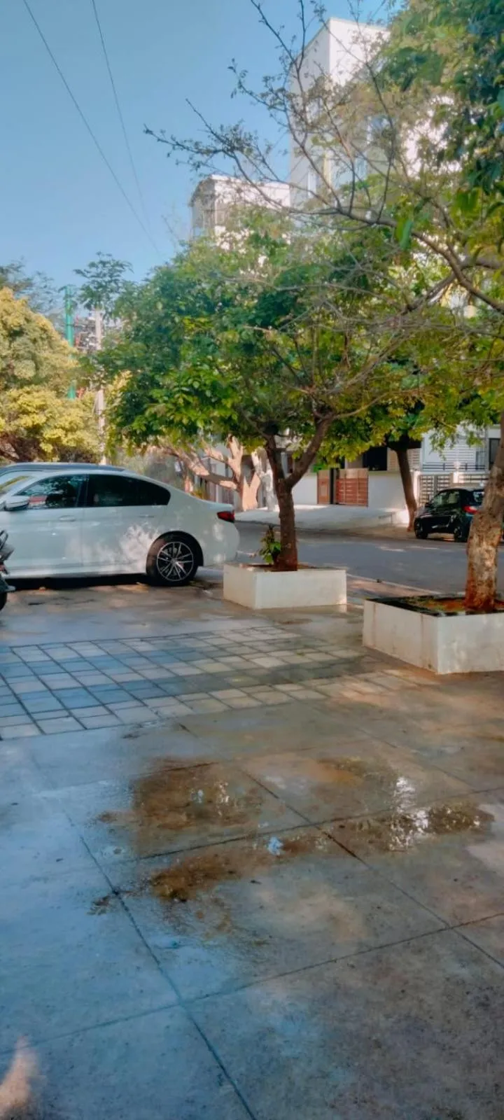 SERENE INTERNATIONAL