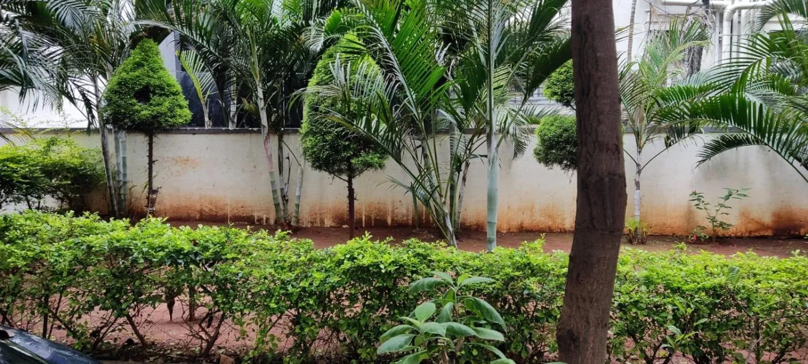 SERENE INTERNATIONAL