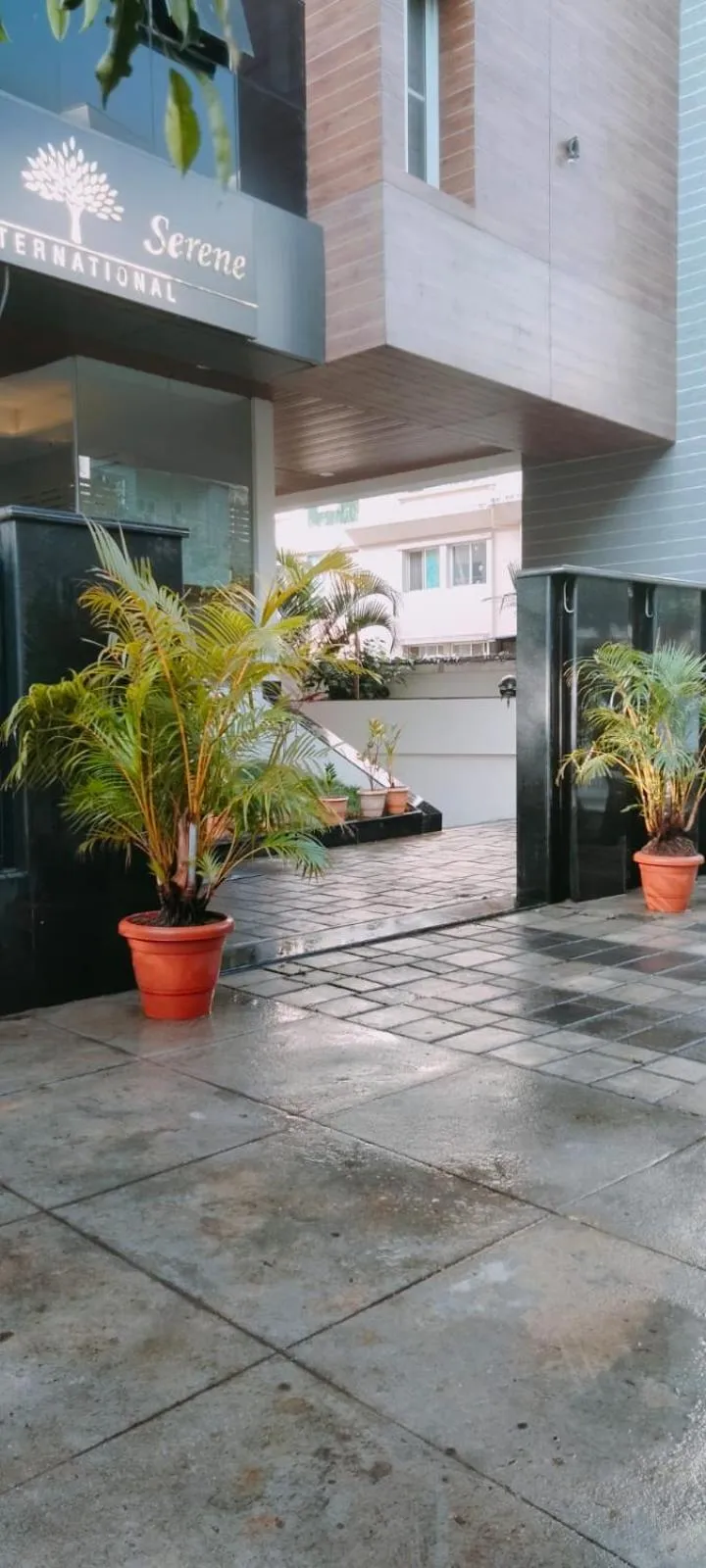 SERENE INTERNATIONAL