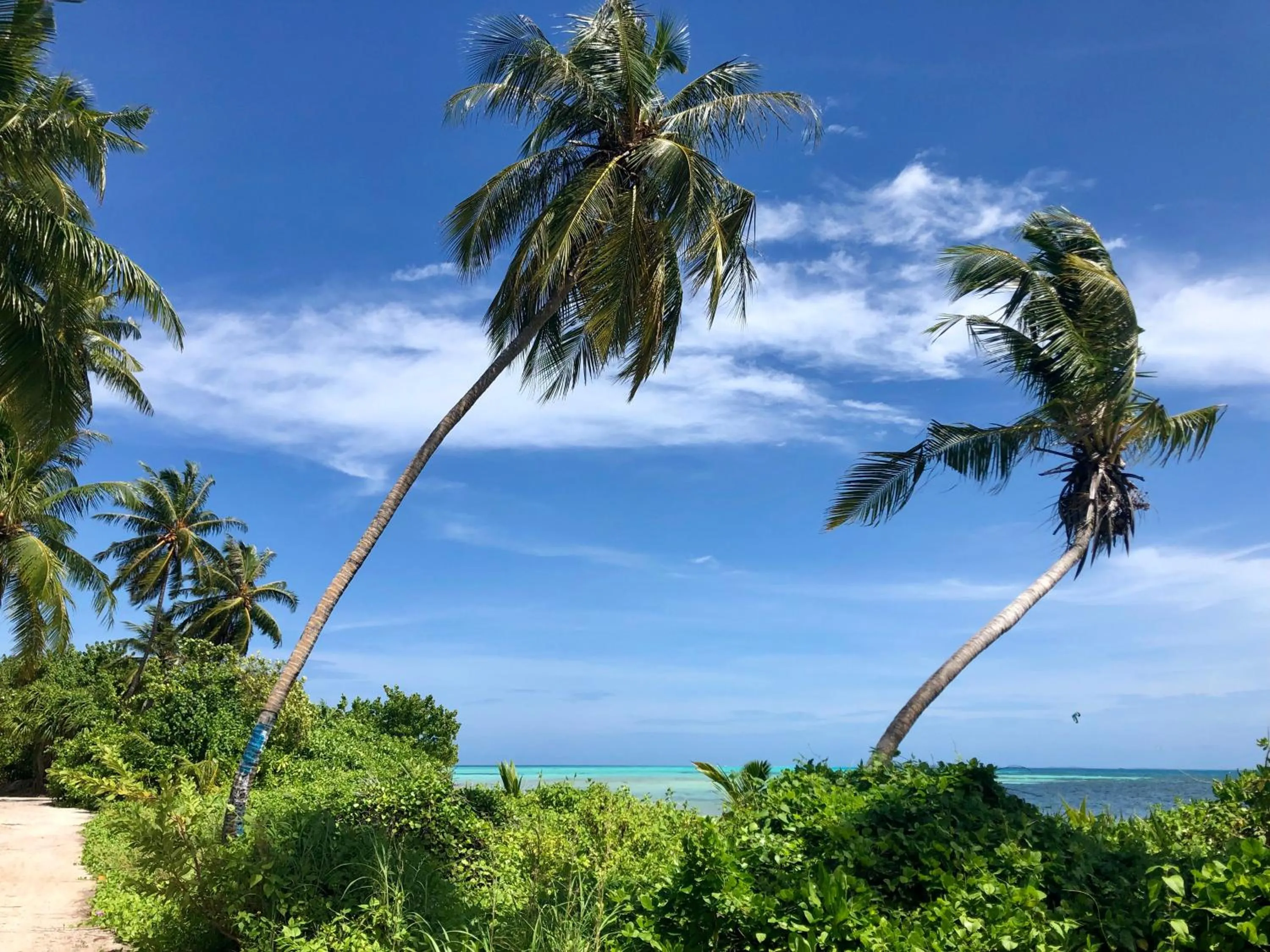 Off site in Atoll Residence Dhangethi