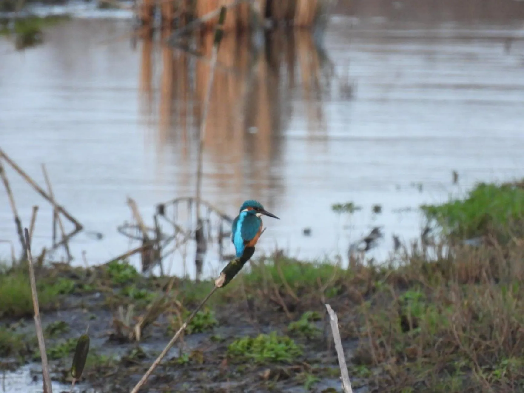 B&B de Blauwververij