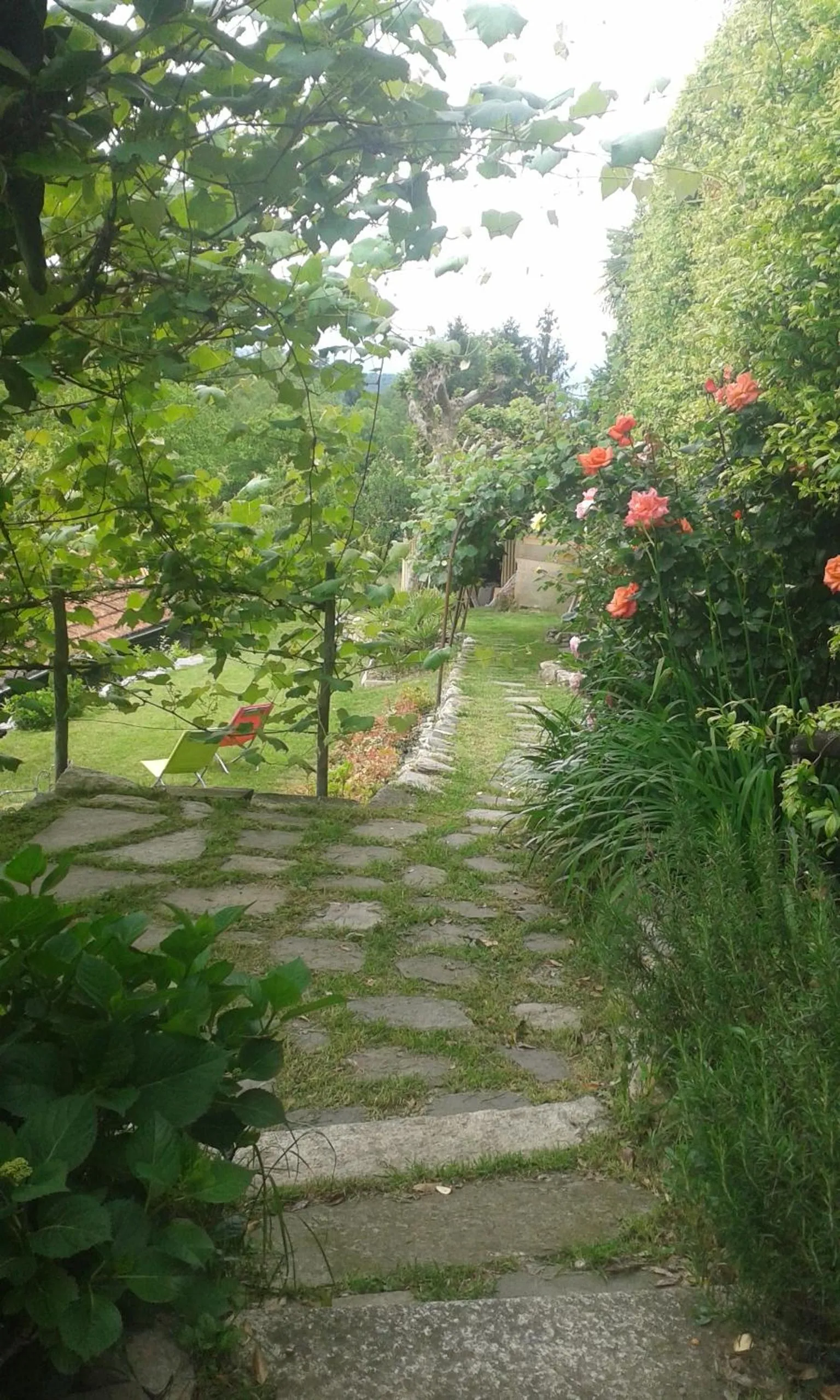 Garden in Albergo Ristorante Monterosa