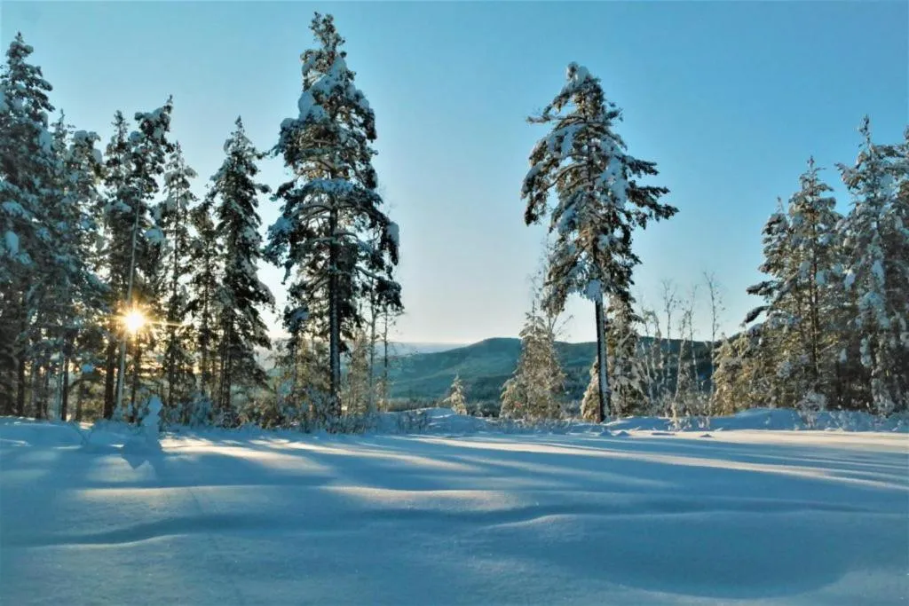 View (from property/room) in Fossanåsen Hotel