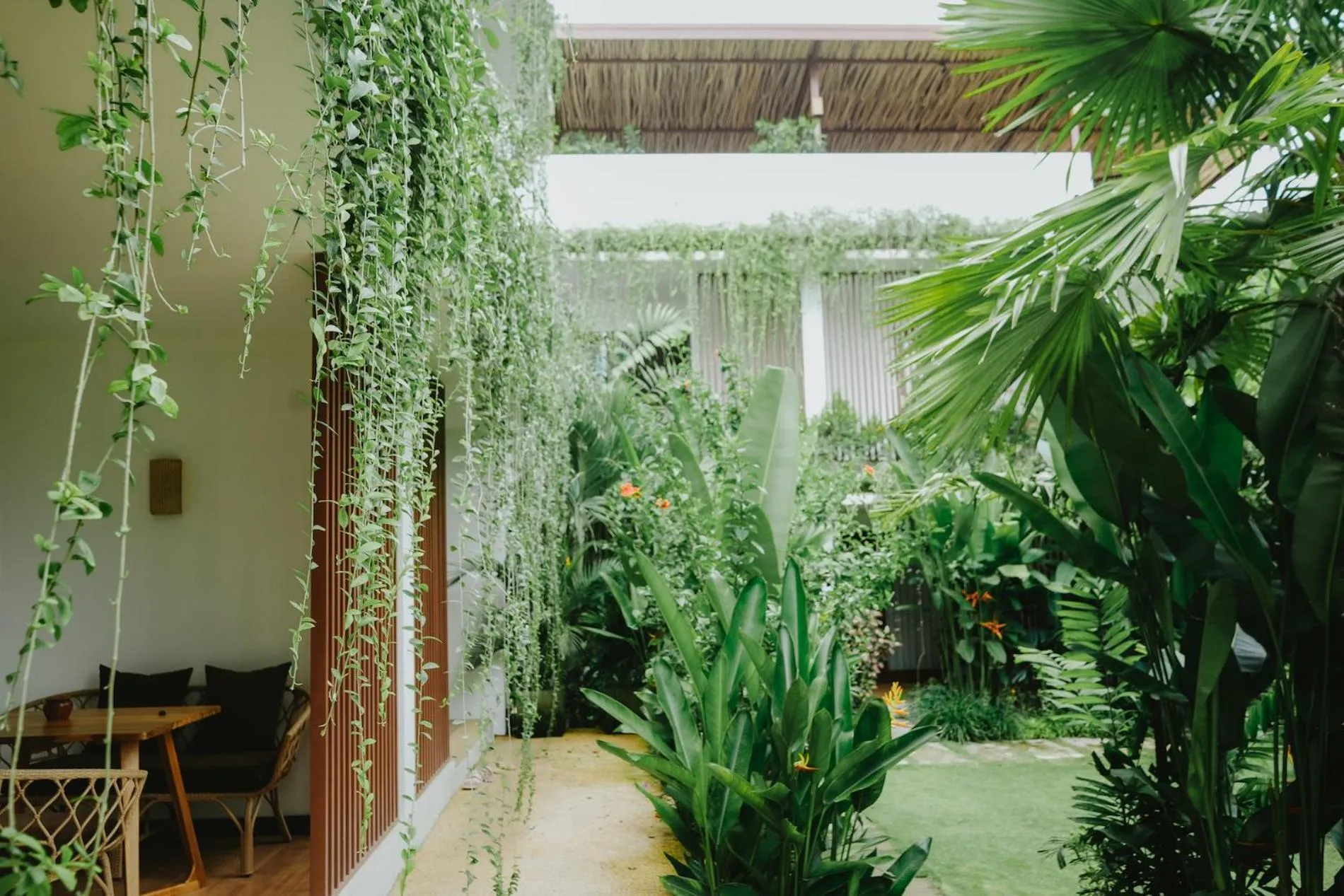 Garden in PORTER HOTEL - Surf & Yoga Retreat