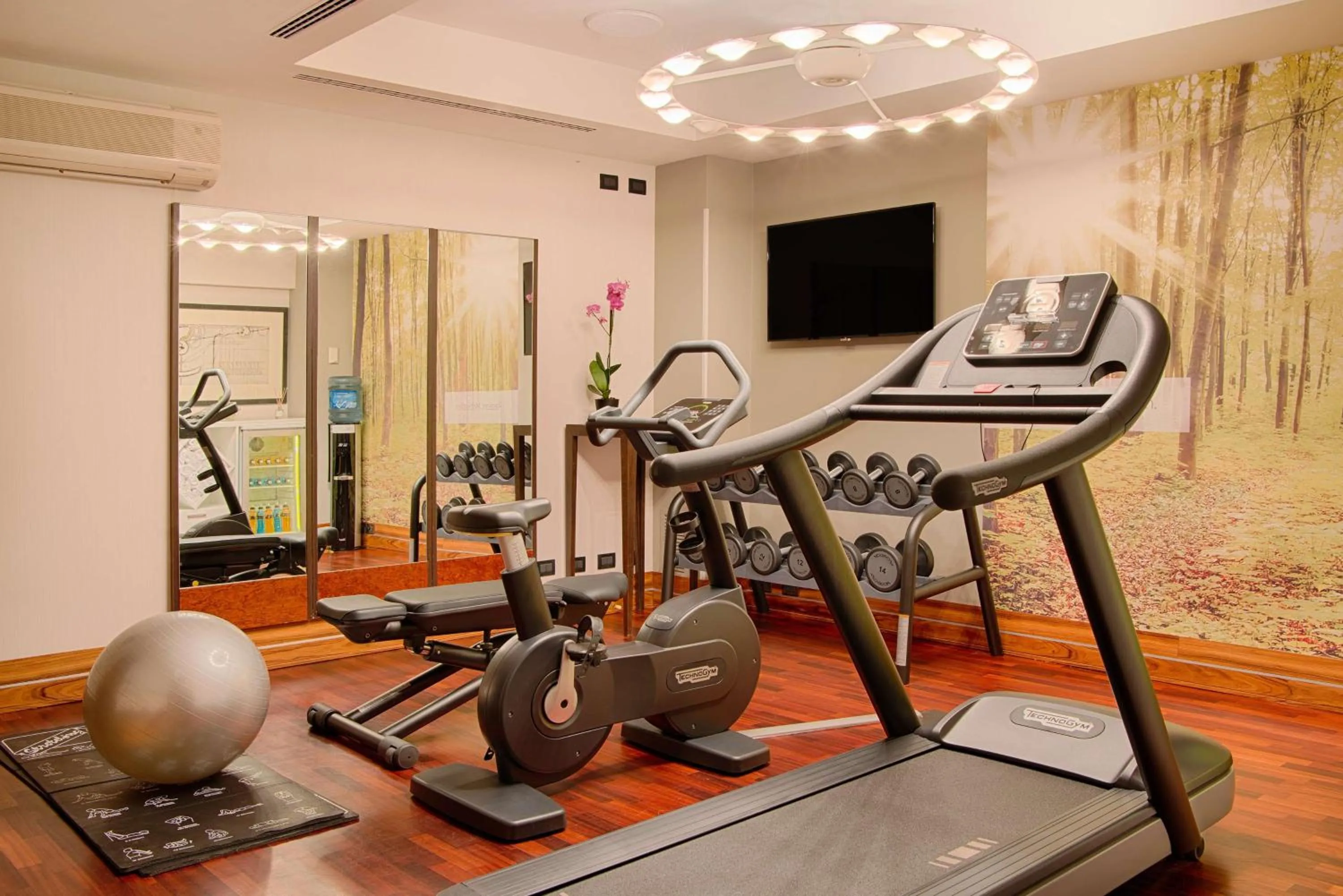 Fitness centre/facilities in NH Bergamo