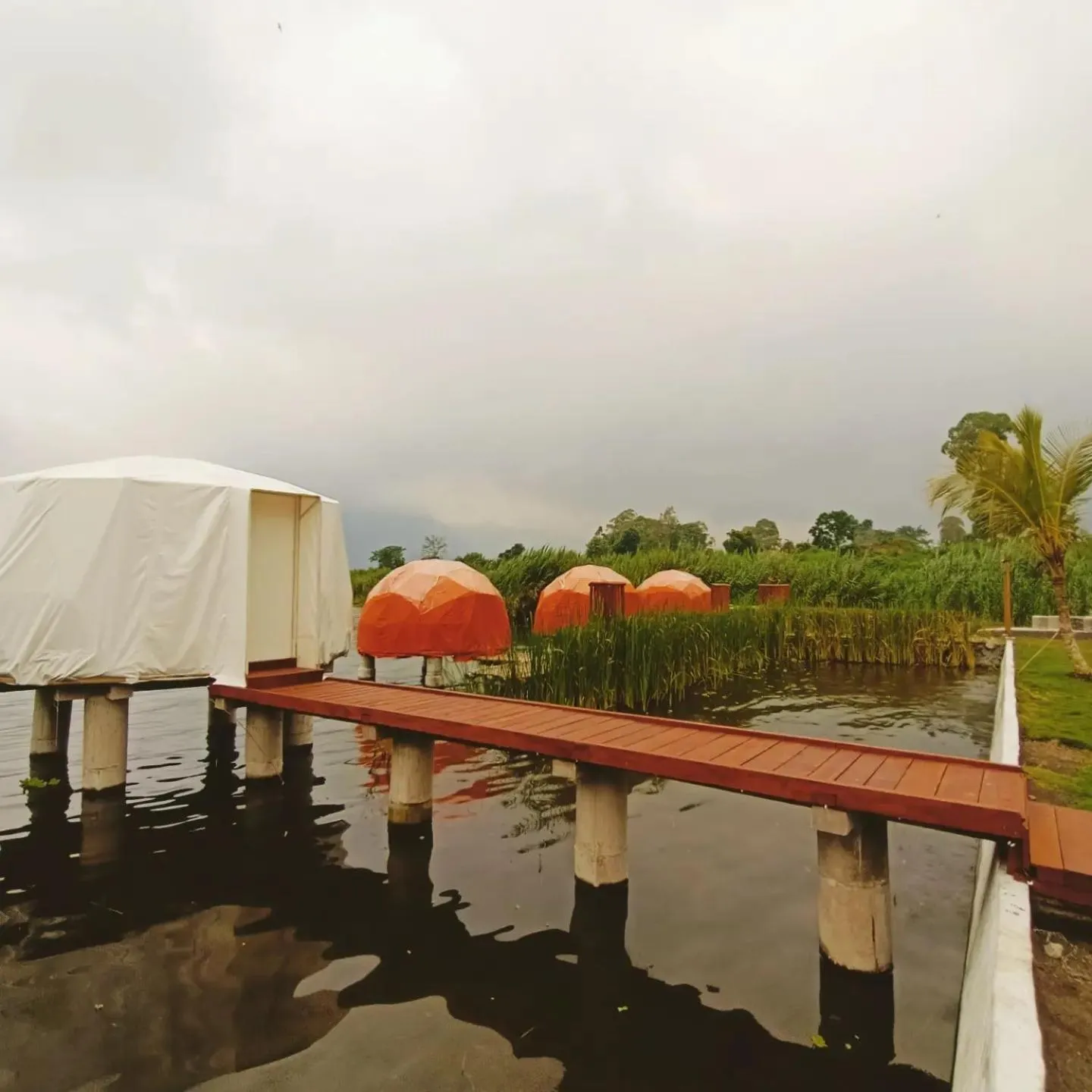 Property building in Jempana View