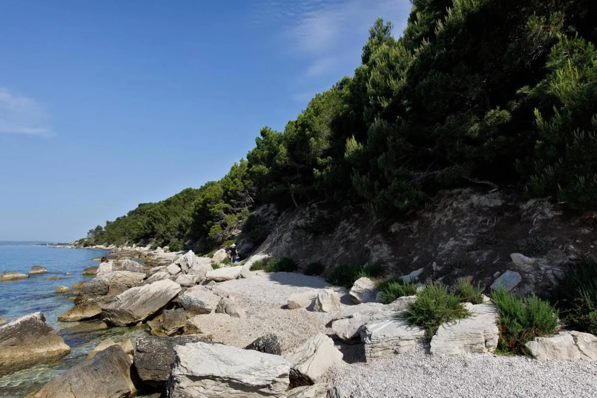 Natural landscape in Nice apartment with a sea view