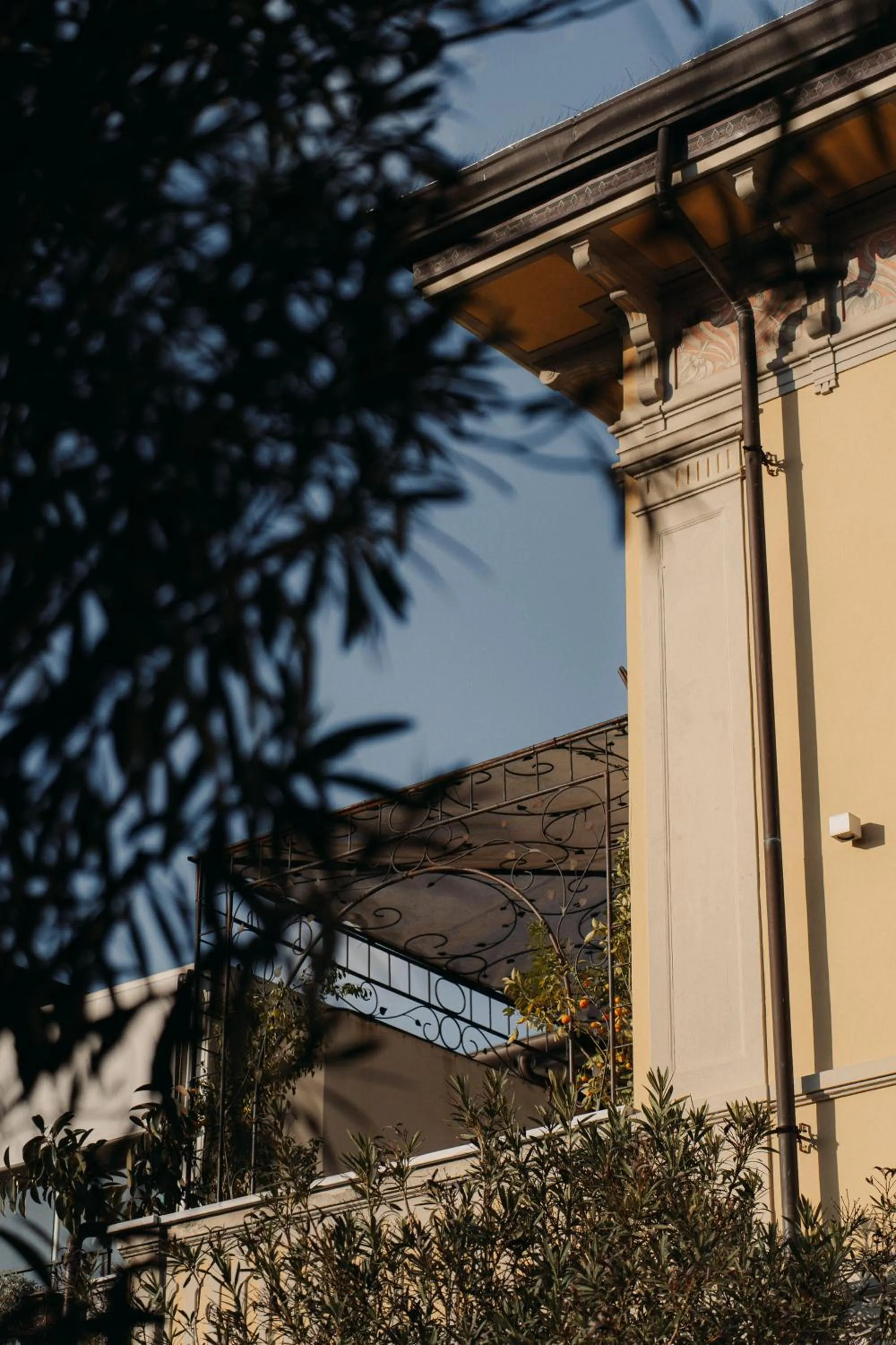 Property building in Hotel Palazzo Guiscardo Pietrasanta