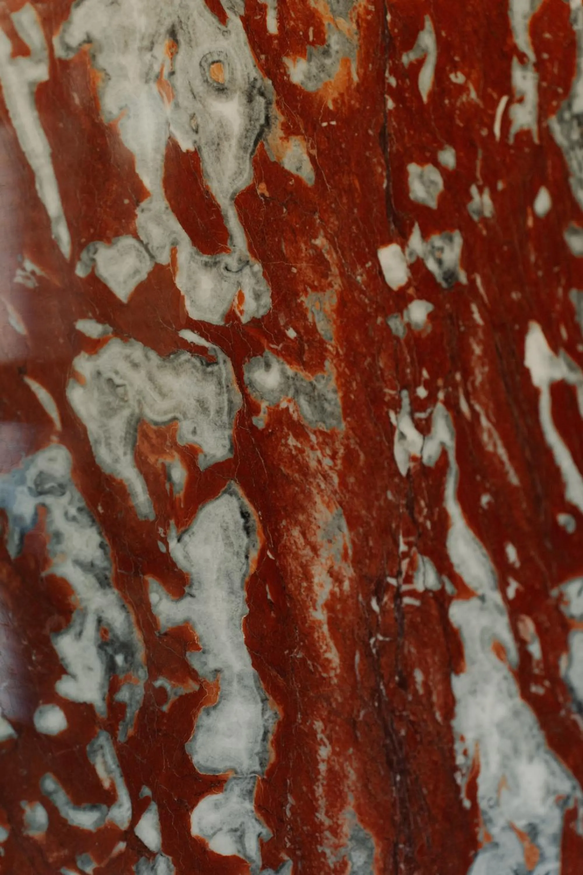 Decorative detail in Hotel Palazzo Guiscardo Pietrasanta