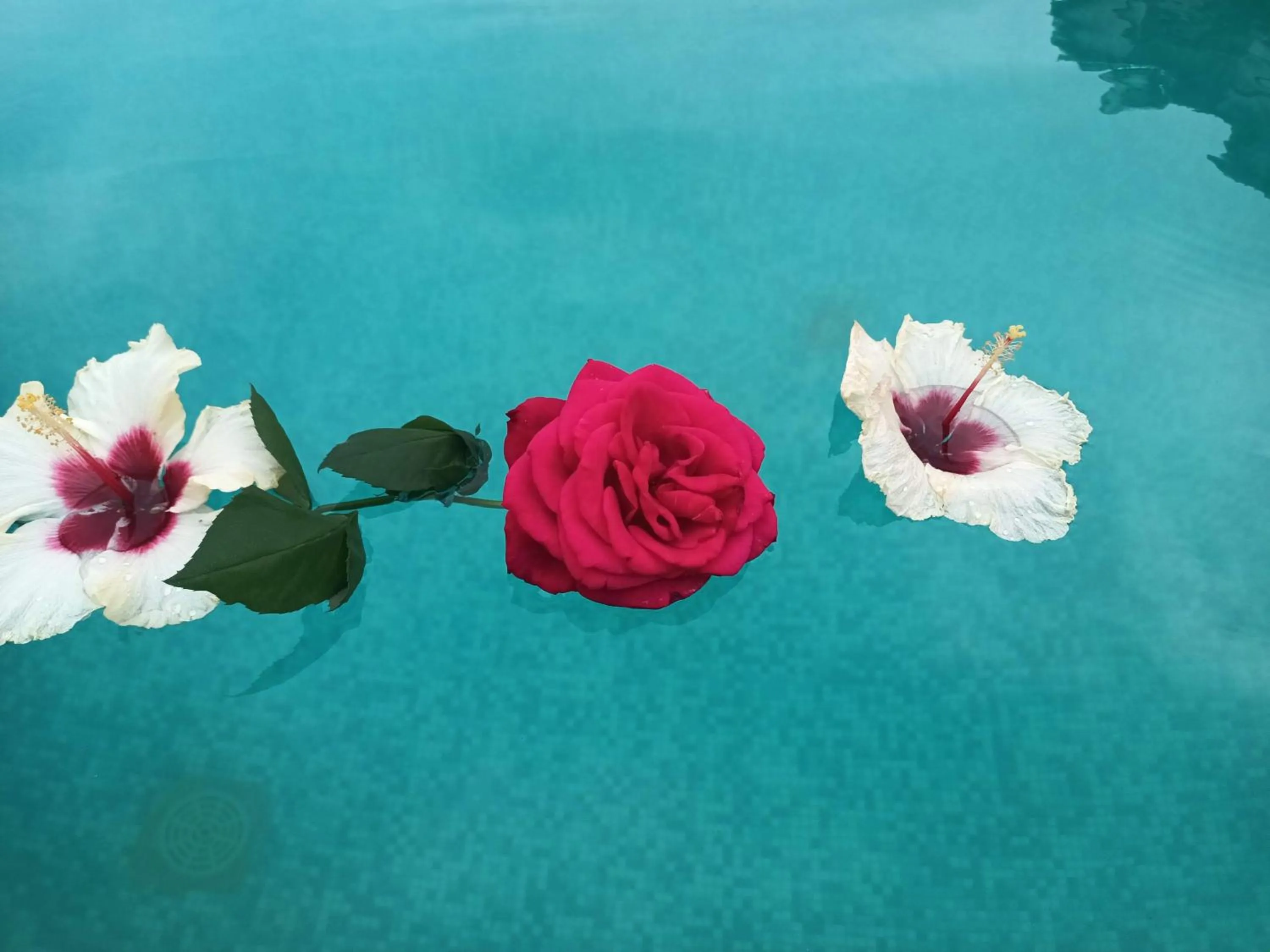 Swimming pool in Secret Garden Hotel