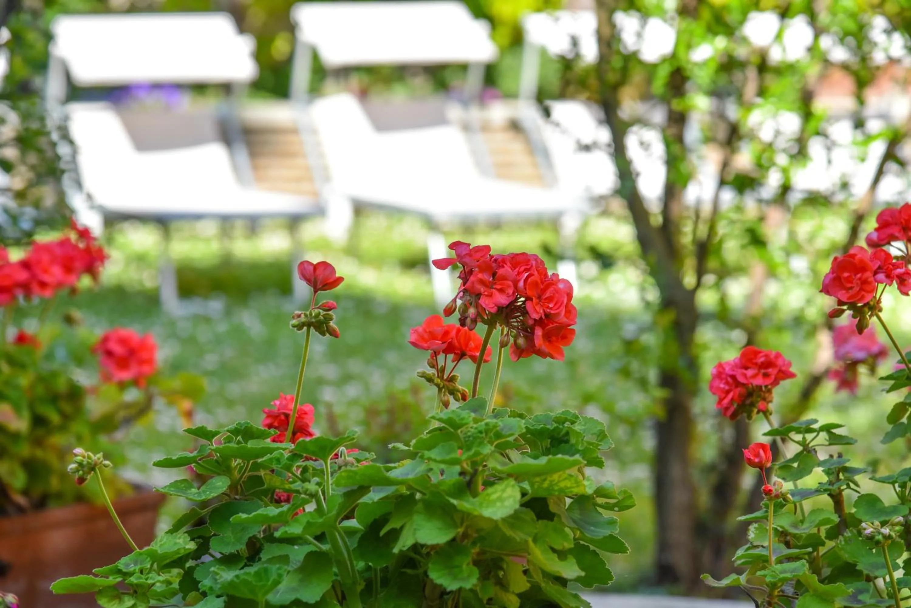 Garden in Hotel Sant'Andrea