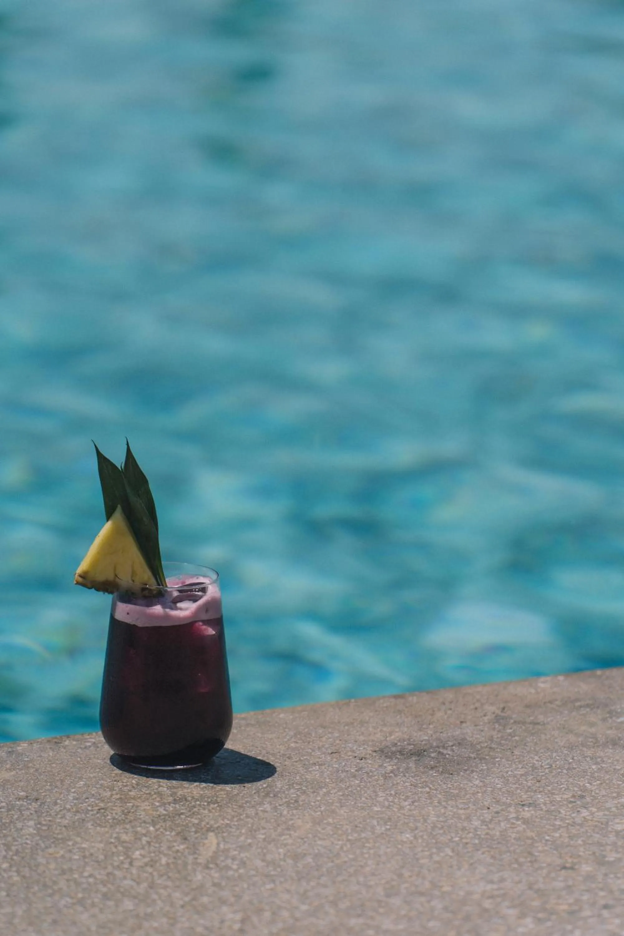 Lounge or bar in The Nest Resort