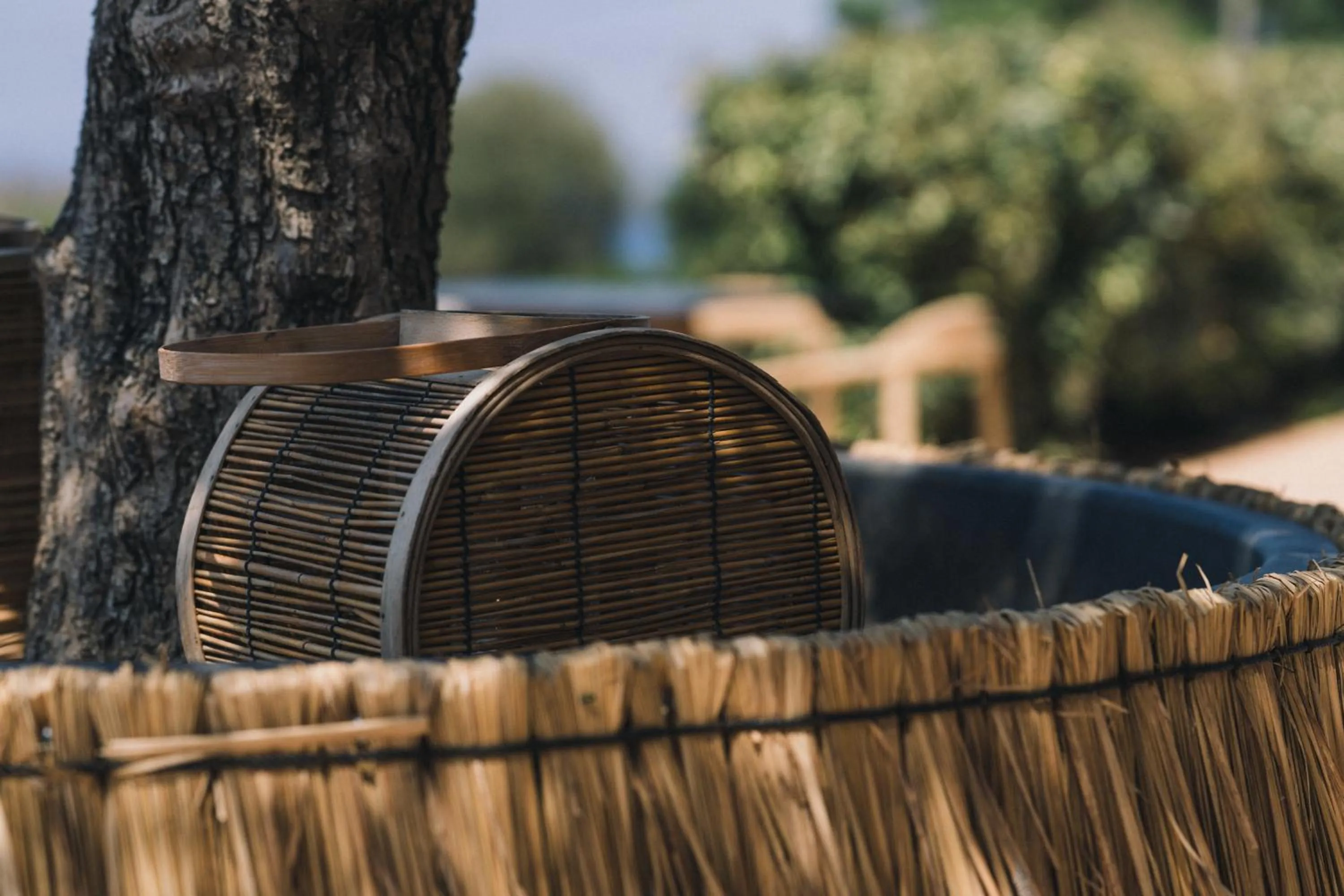 Restaurant/places to eat in The Nest Resort