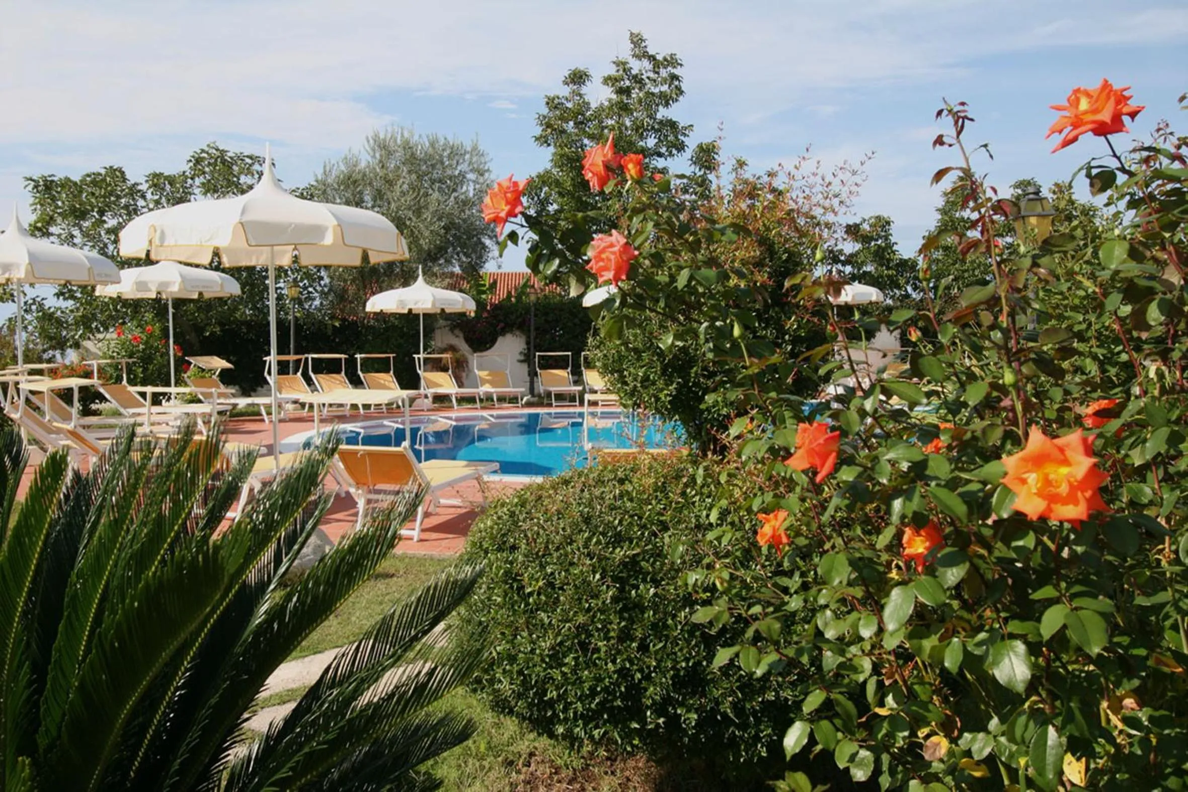 Swimming pool in Hotel Tirreno