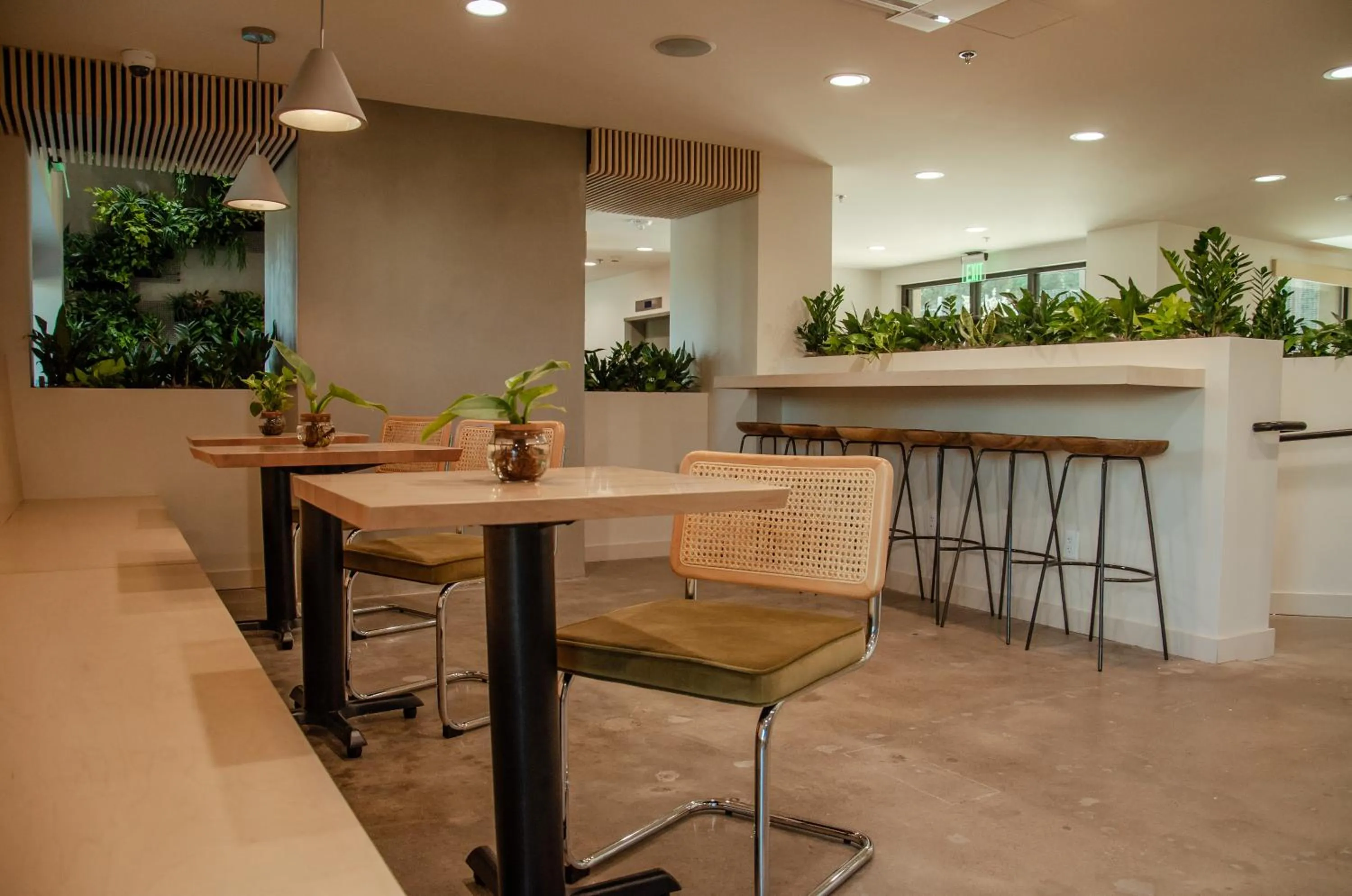 Restaurant/places to eat in Brut Hotel