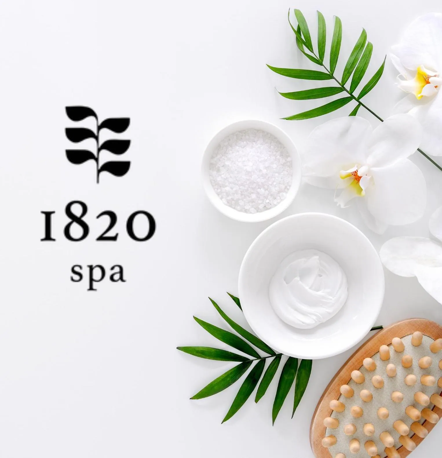 Spa and wellness centre/facilities in Brut Hotel