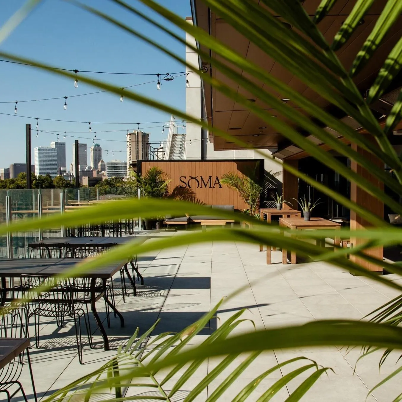 Restaurant/places to eat in Brut Hotel