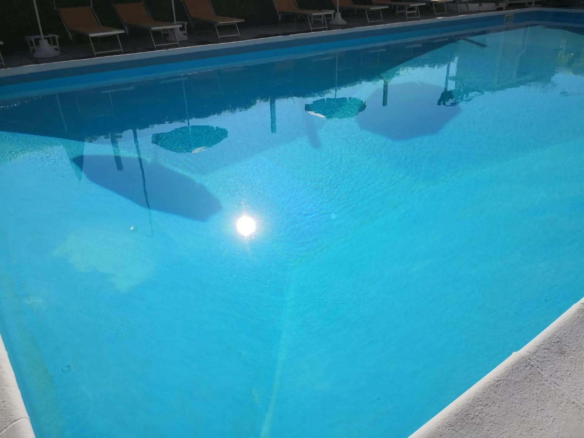 Swimming pool in Park Hotel