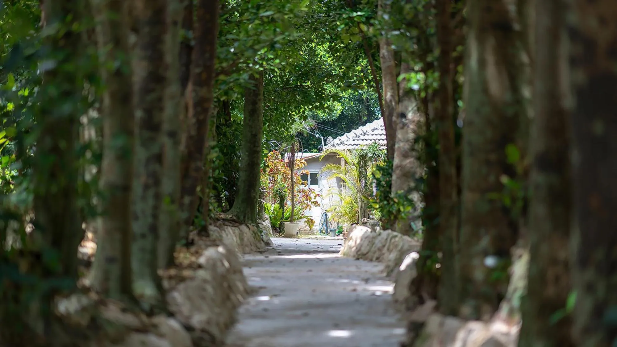 Area and facilities in la ohana～瀬底島～（2022年OPEN）