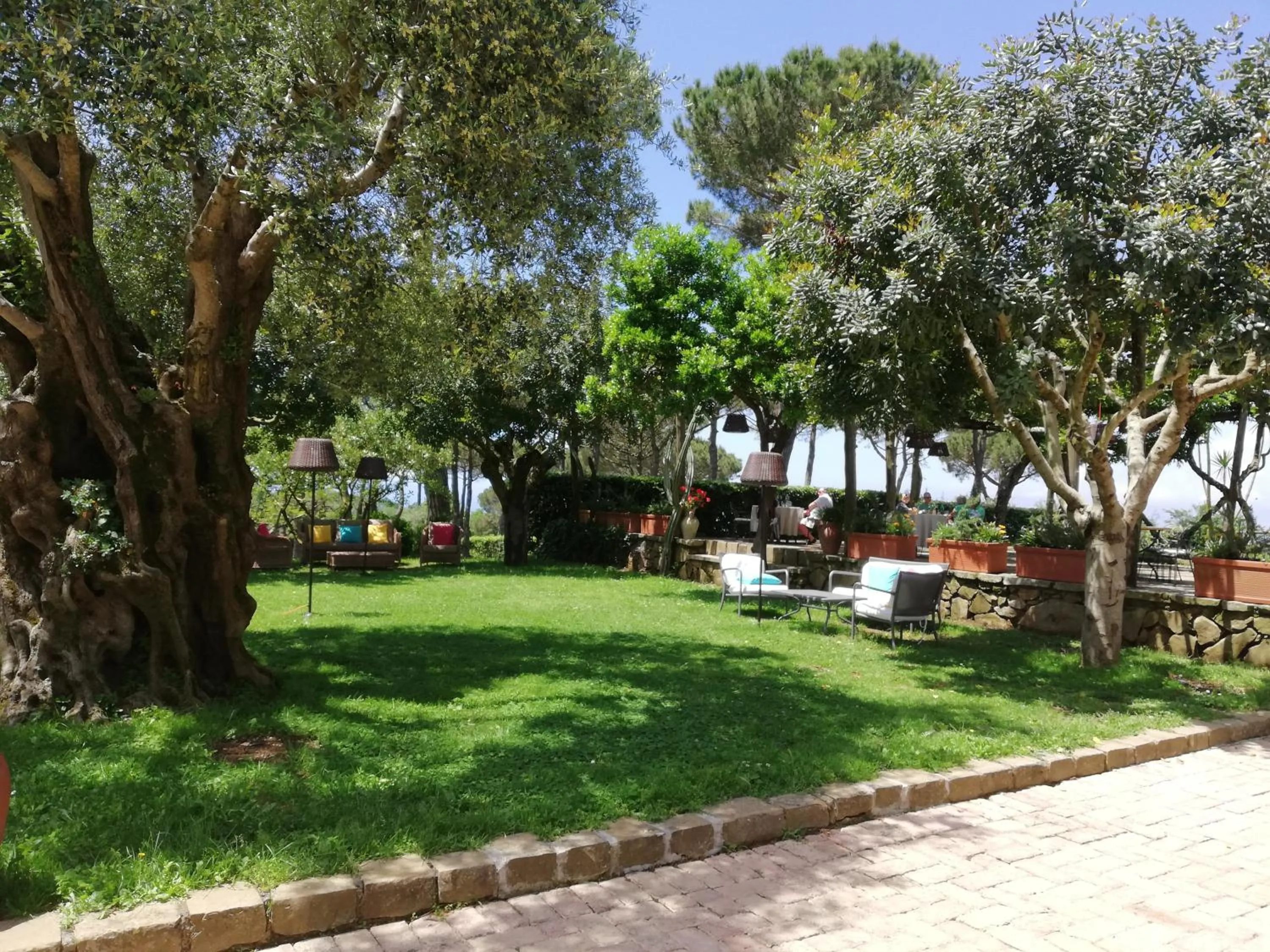 Restaurant/places to eat in Oasi Olimpia Relais