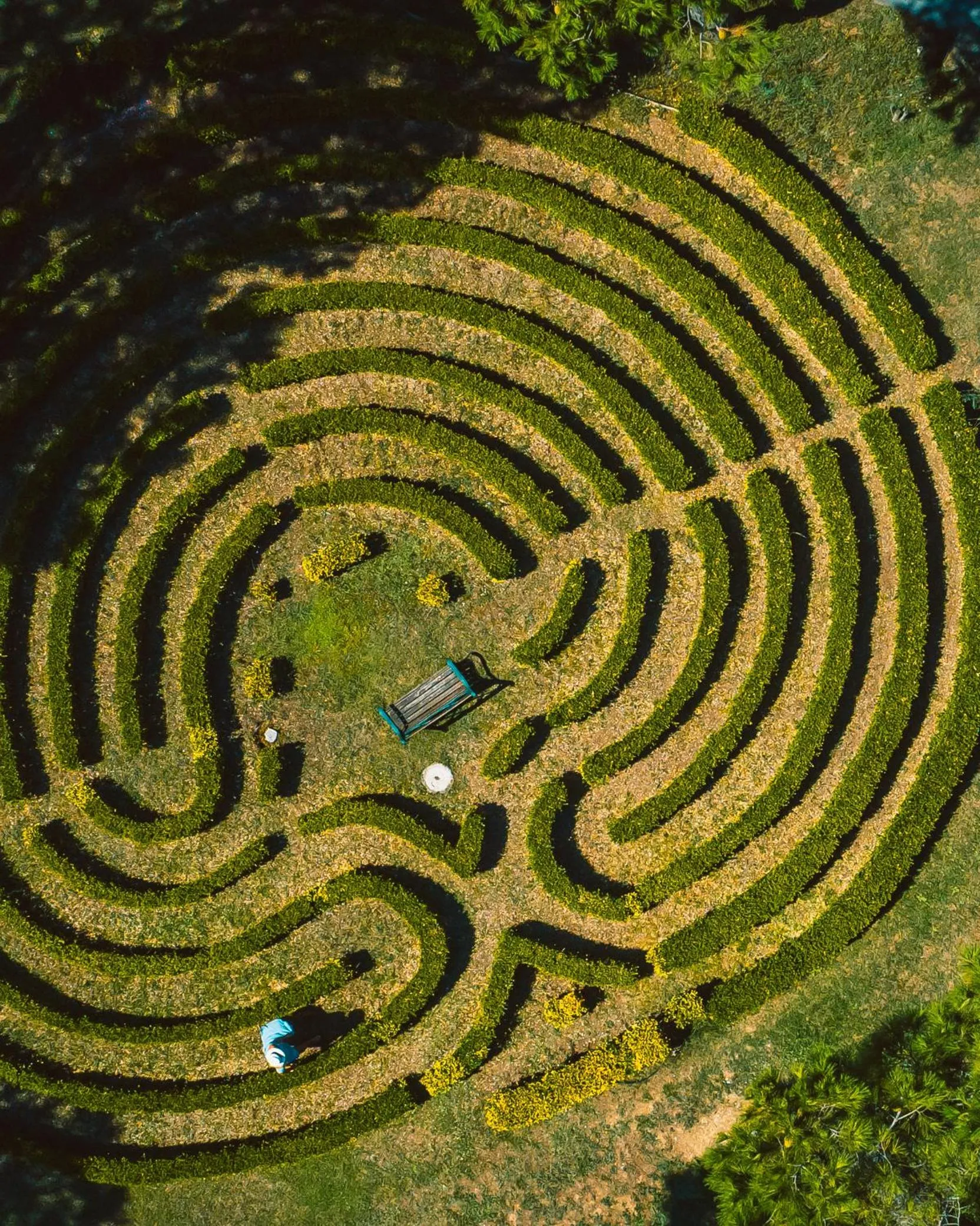 Bird's eye view in Oasi Olimpia Relais