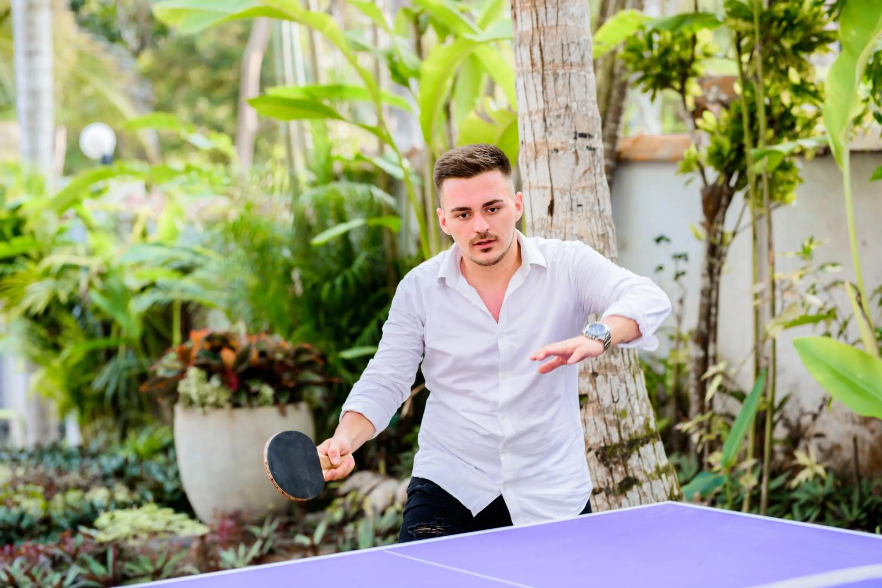 TROPICAL HOUSE - Jungleside Villa