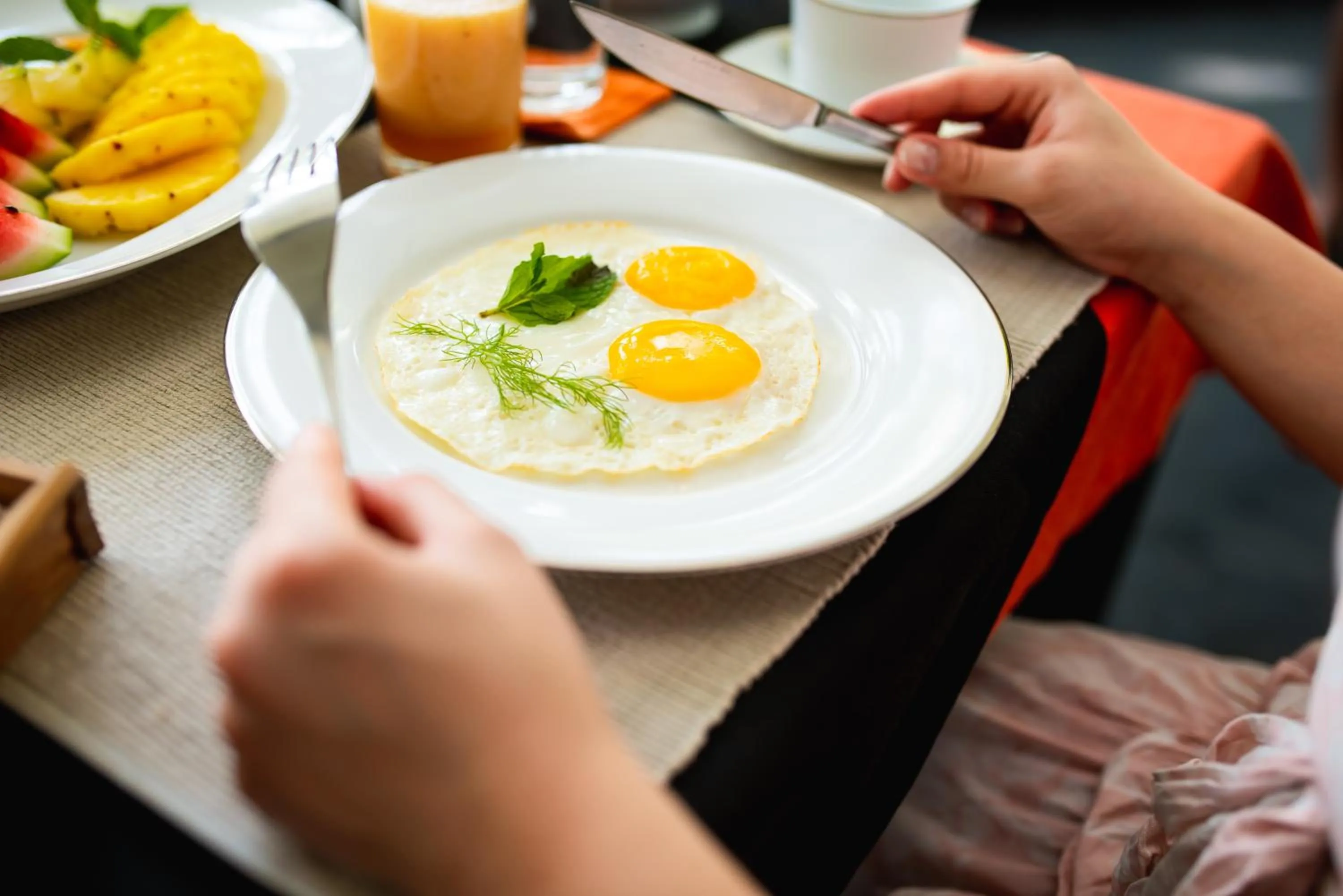 Food and drinks in TROPICAL HOUSE - Jungleside Villa