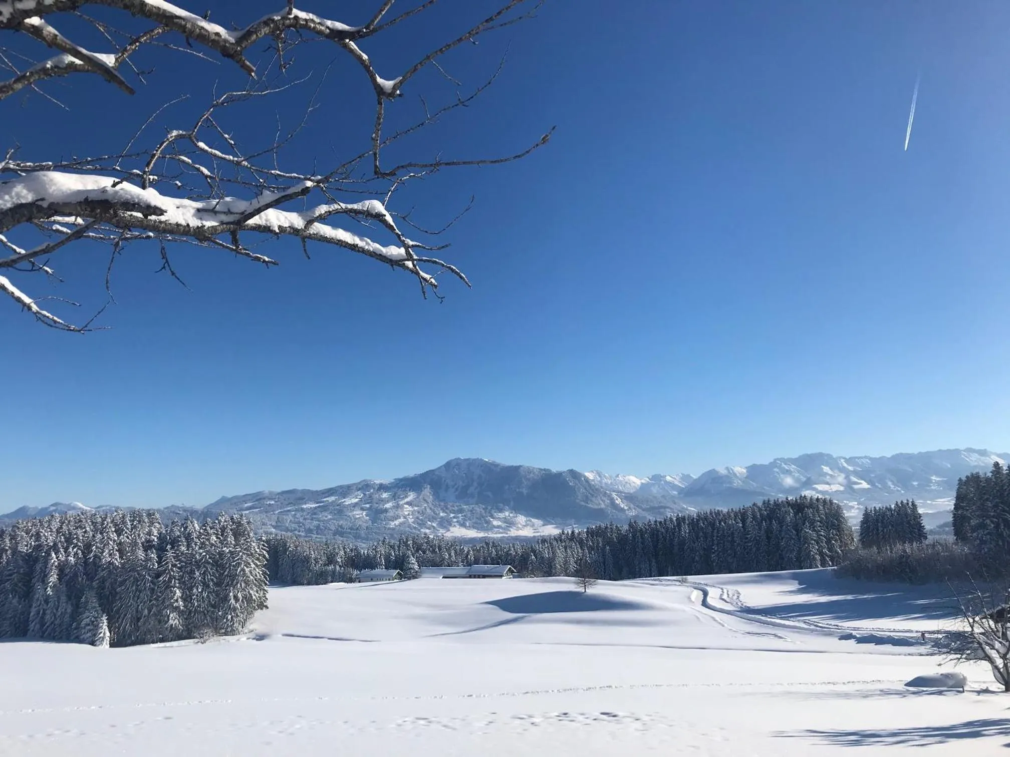Property building in Hotel Bergstätter Hof