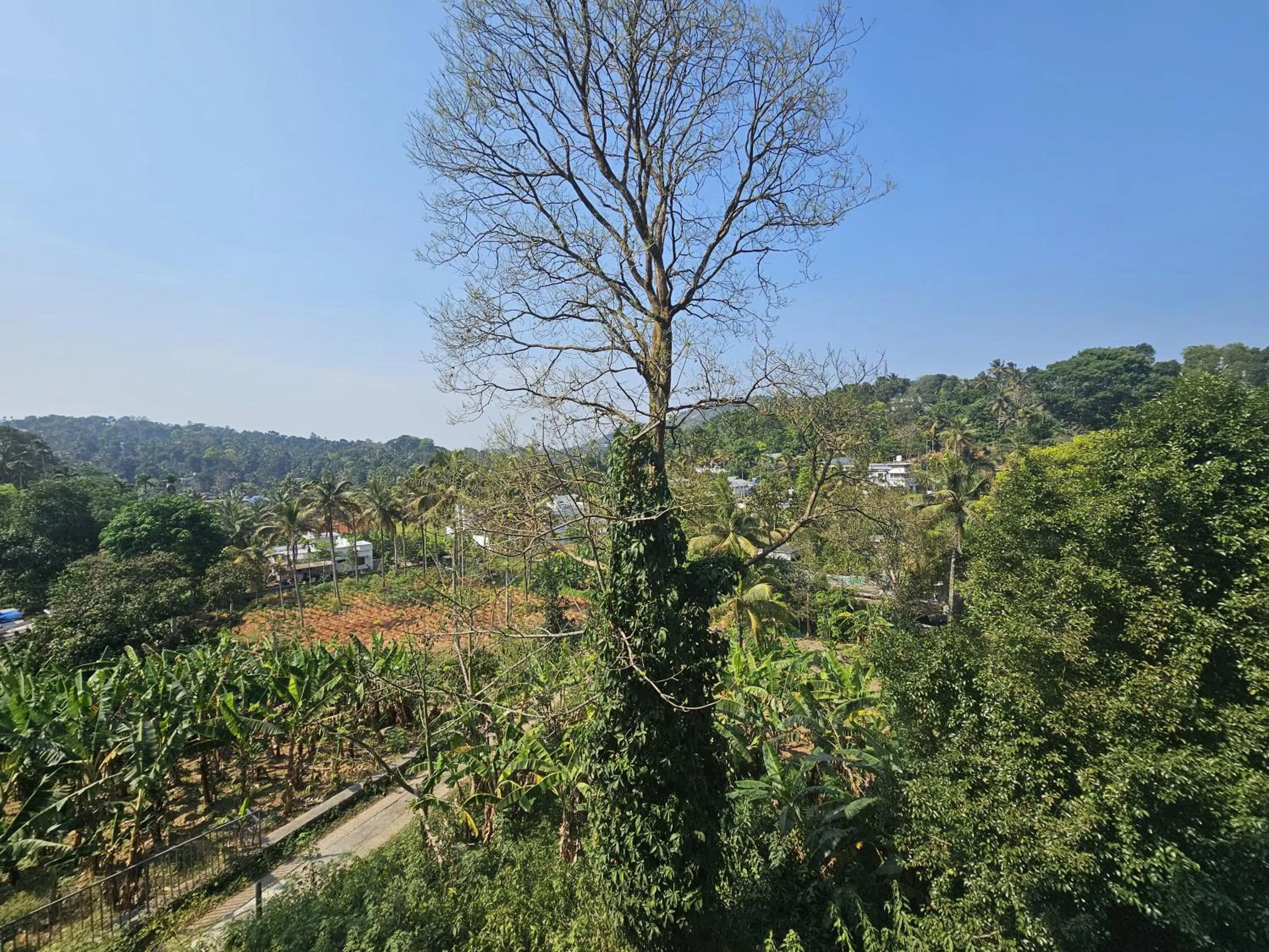 Natural landscape in MIST RESIDENCY